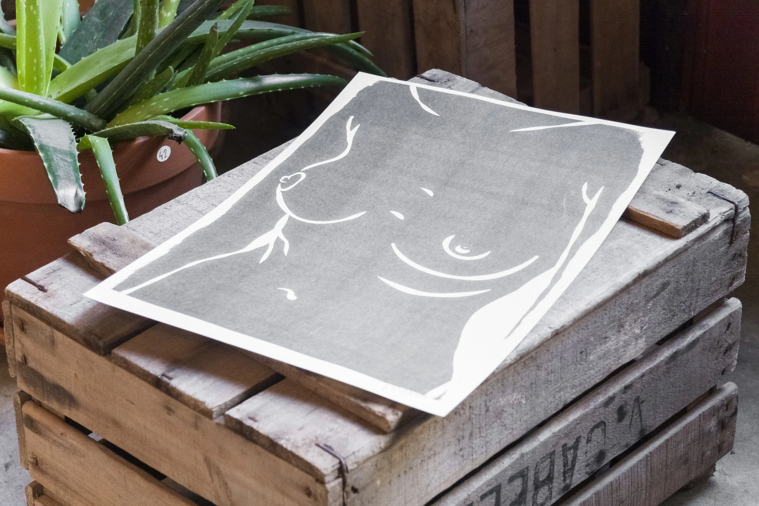 Ariadna Pujol_Òscar Medina_40.jpg