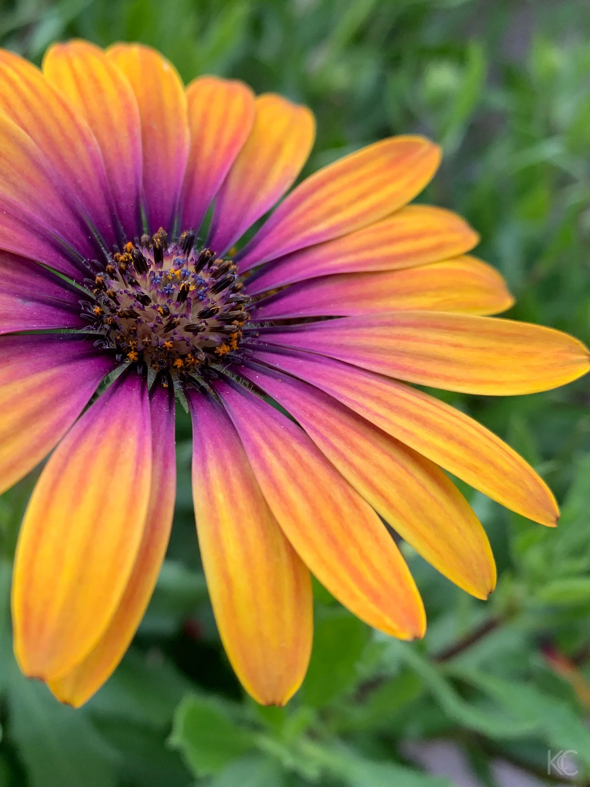 IMG_0480.jpg
