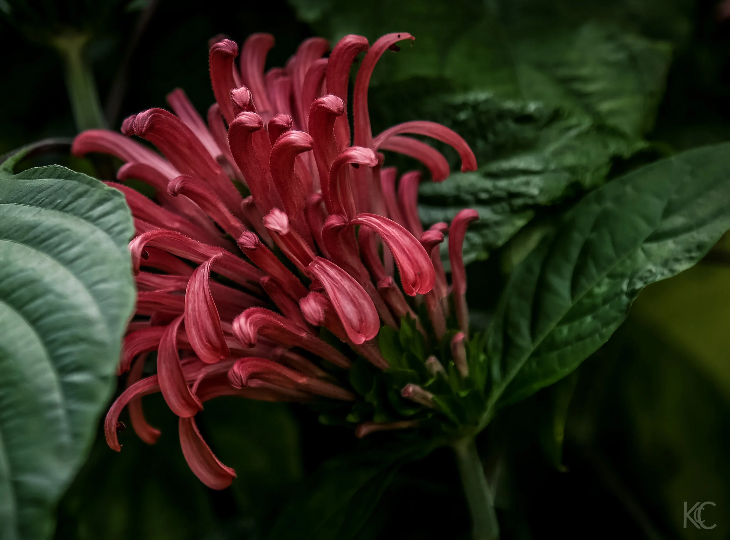 untitled-6516.jpg