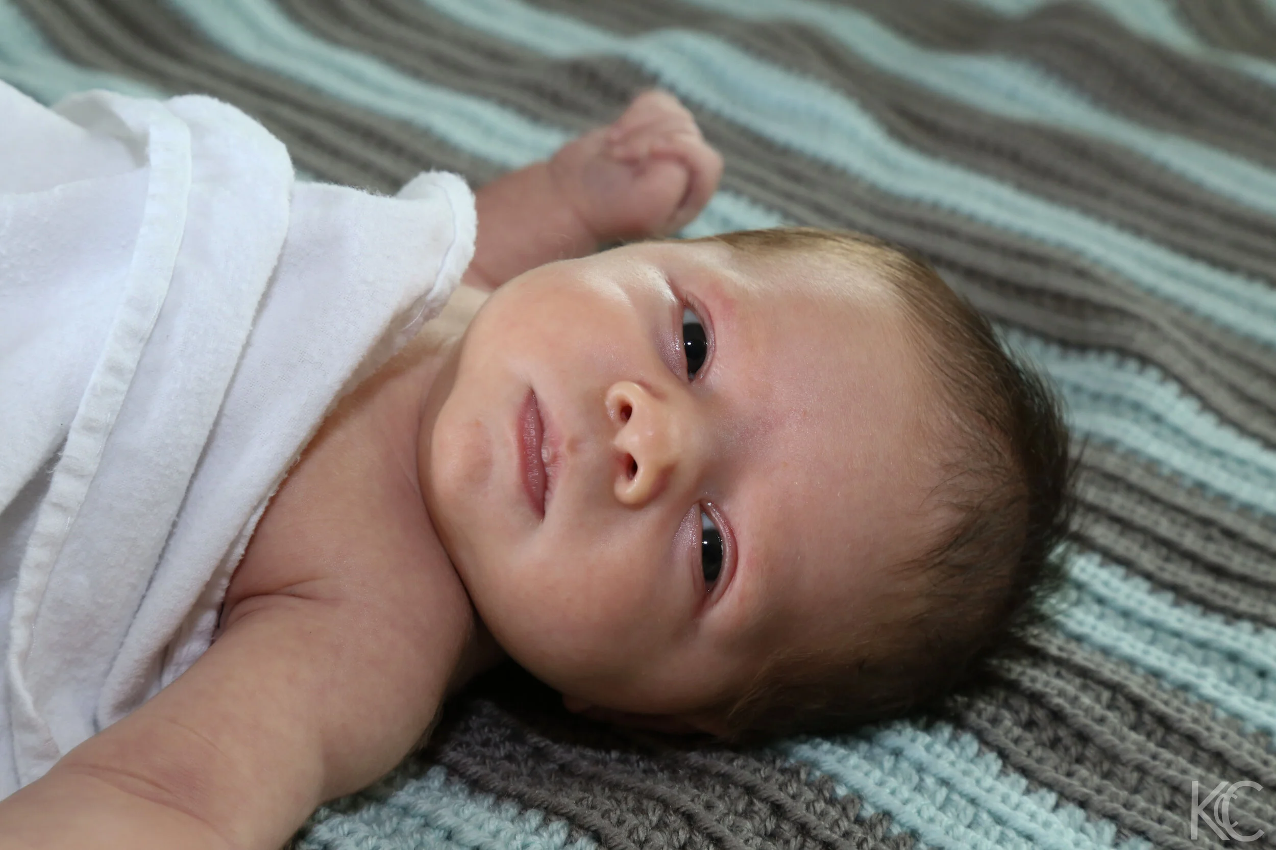Hudson Graye in Box-1322.jpg