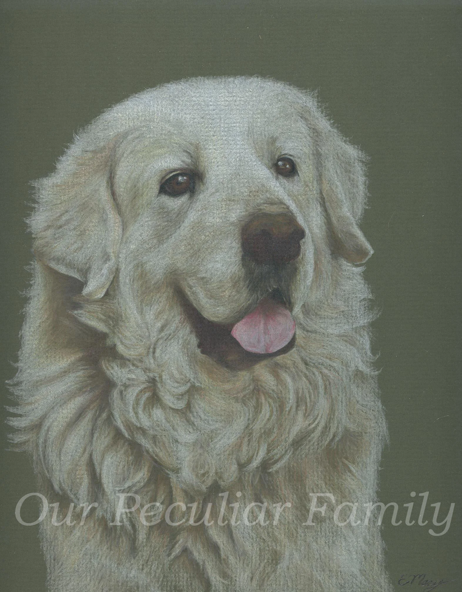 Wolf ~ Colored Pencil by Elisabeth Macy