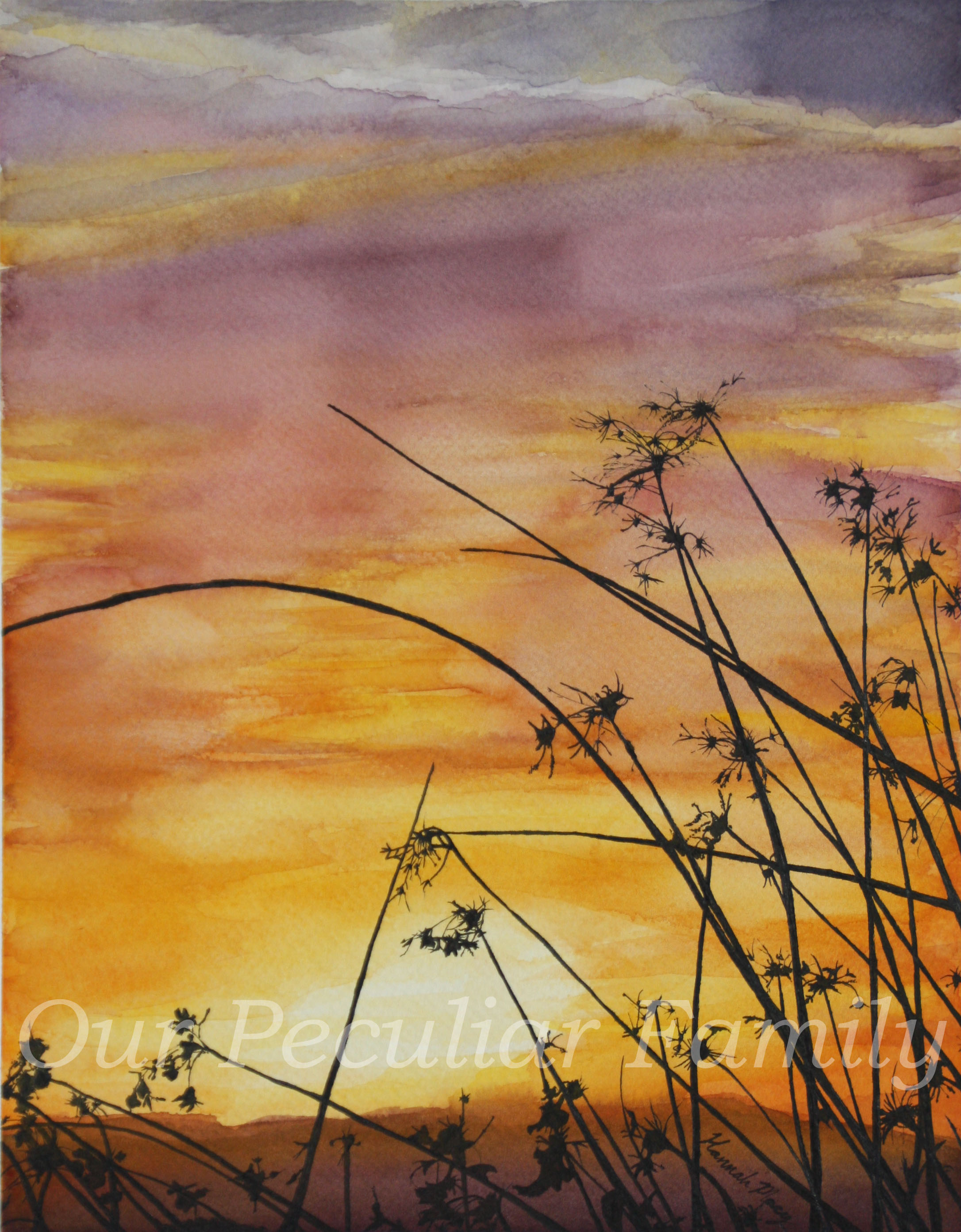 Watercolor and Pen and Ink by Hannah Macy. Private commission.