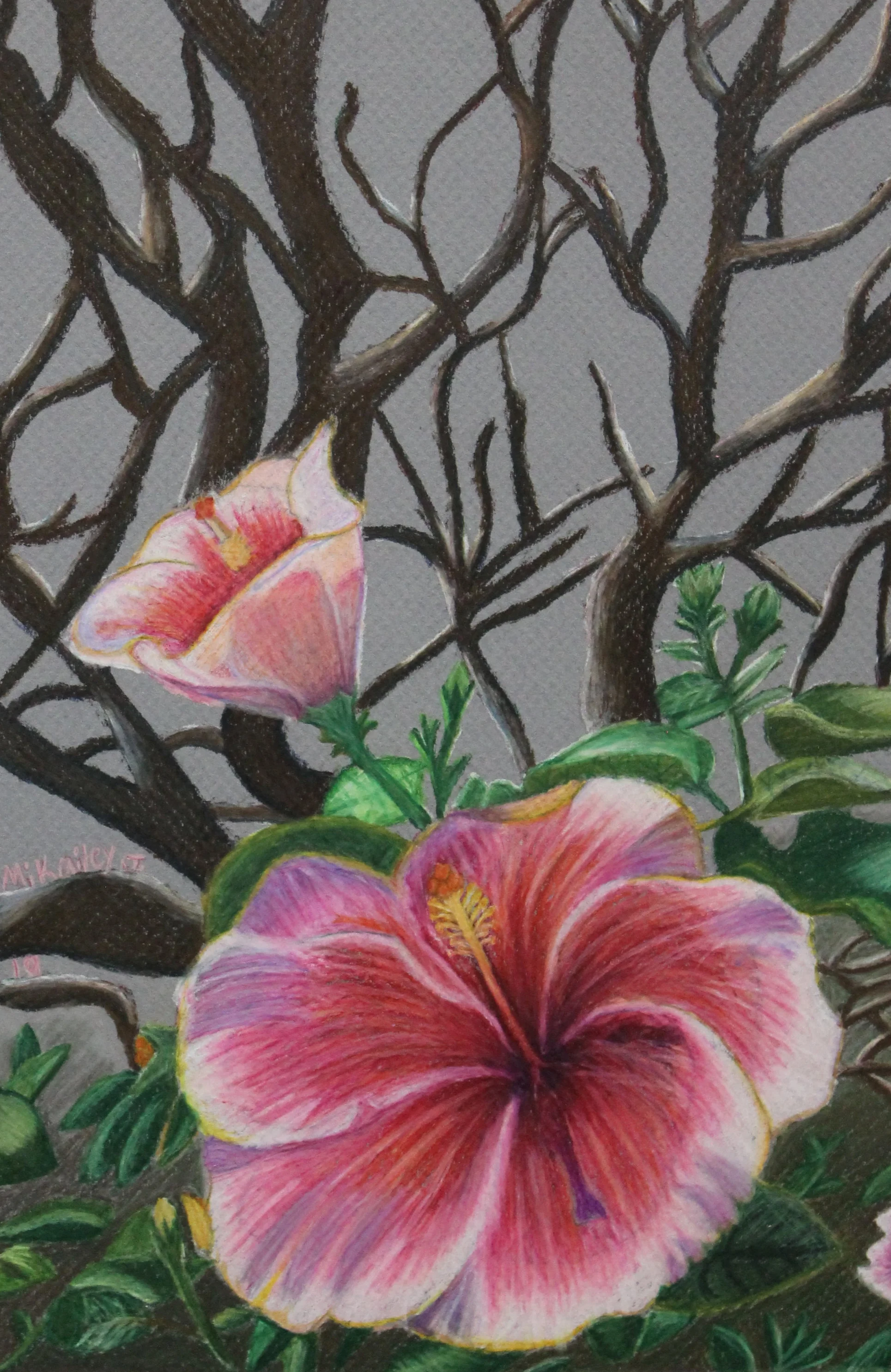  Colored Pencil - Mikailey age 15 