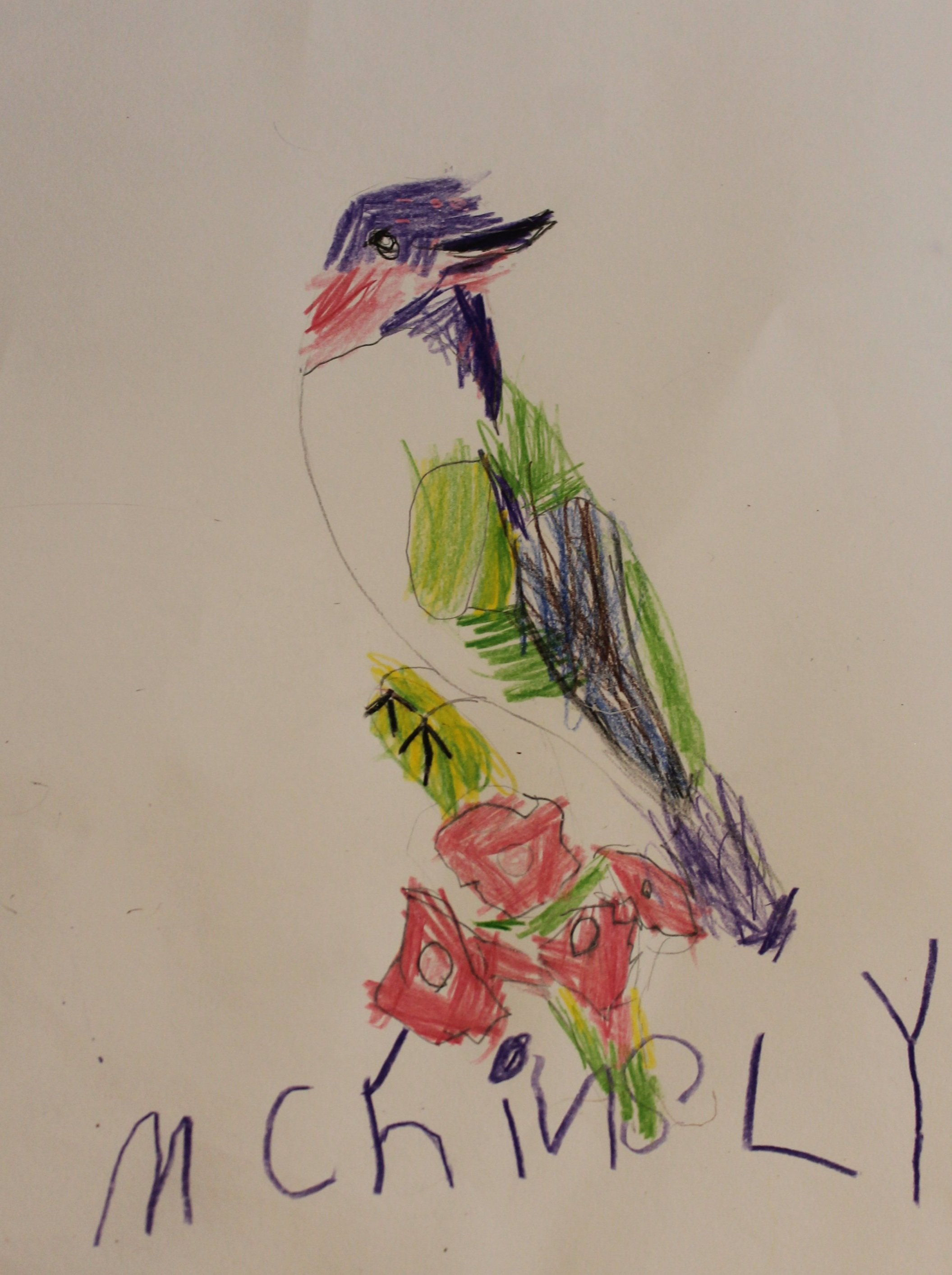McKinsly, age 5, colored pencil