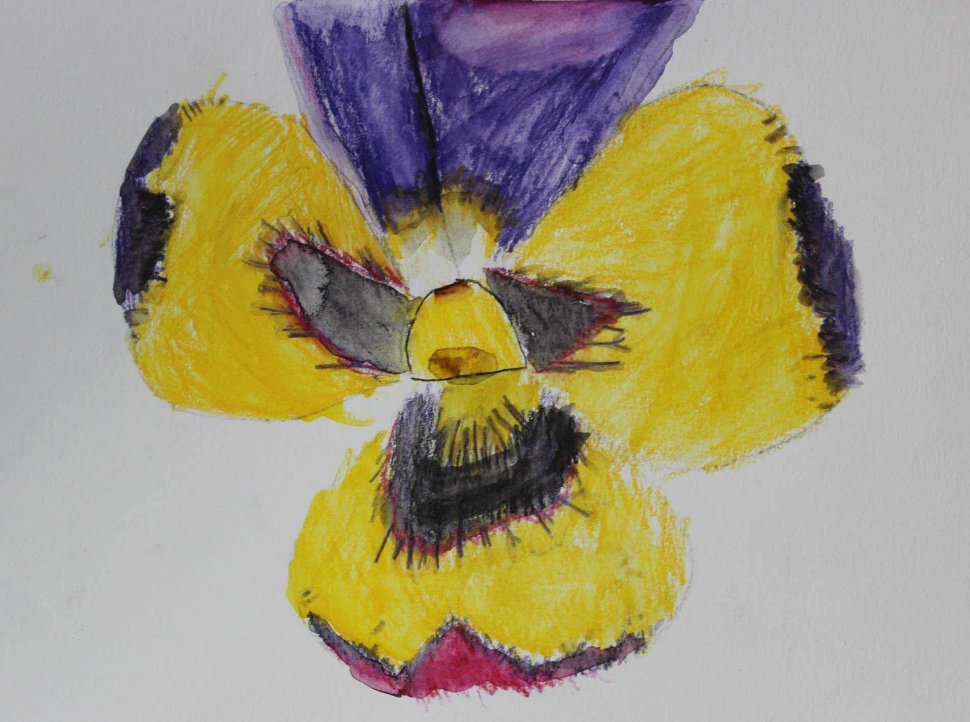 Levi, age 6, watercolor pencil