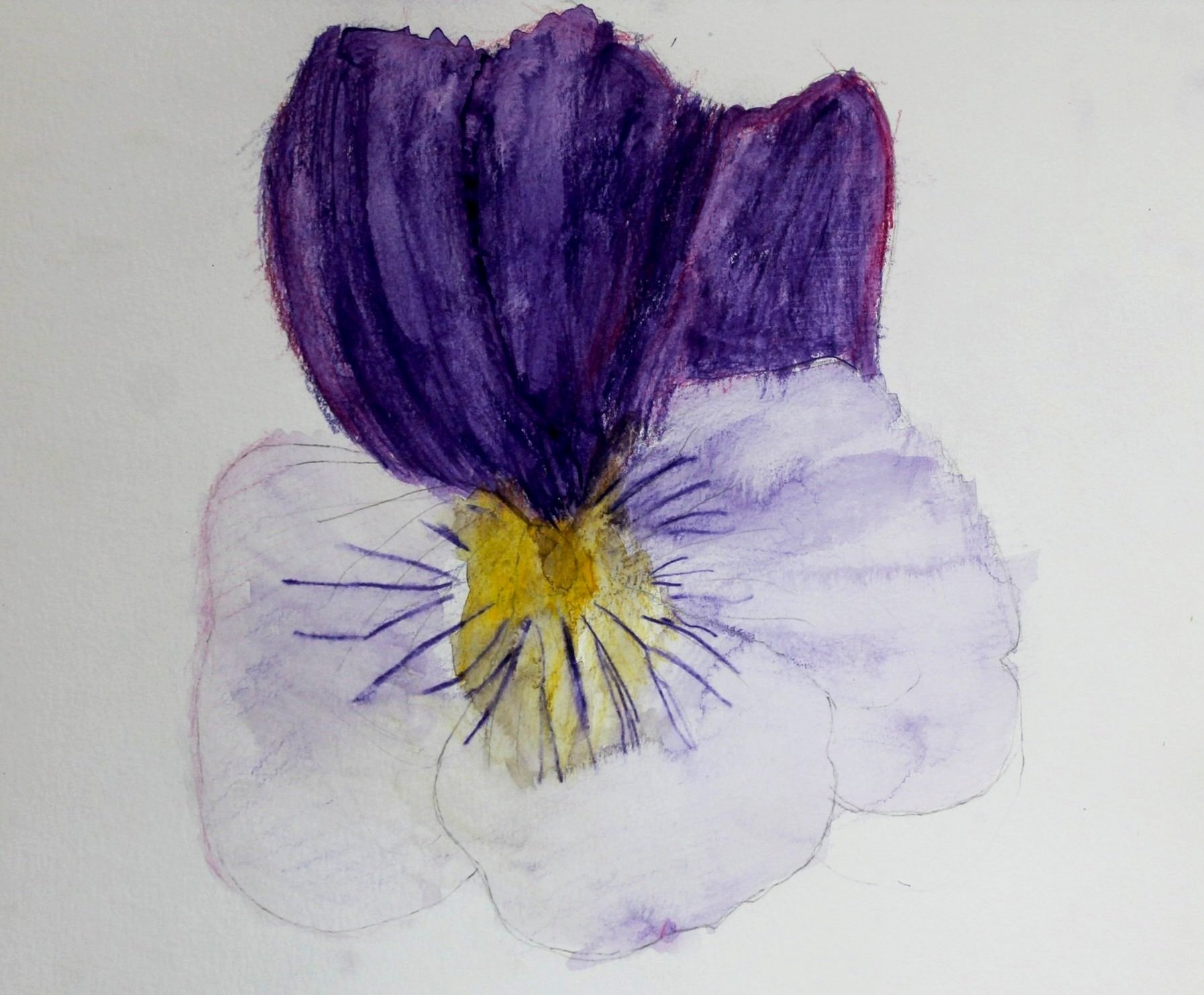 F.R., age 9, watercolor pencil