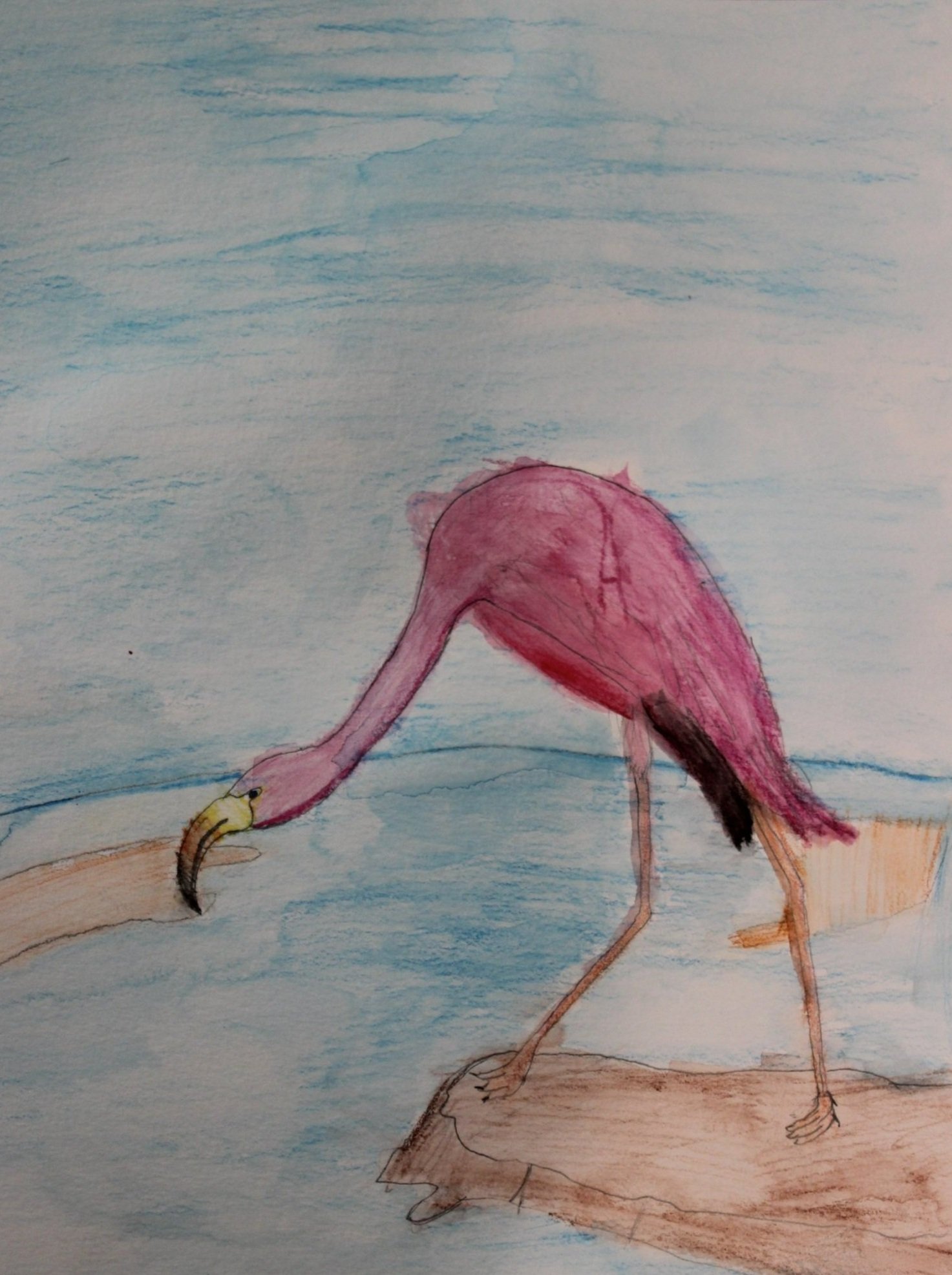 F.R., age 8, watercolor pencil