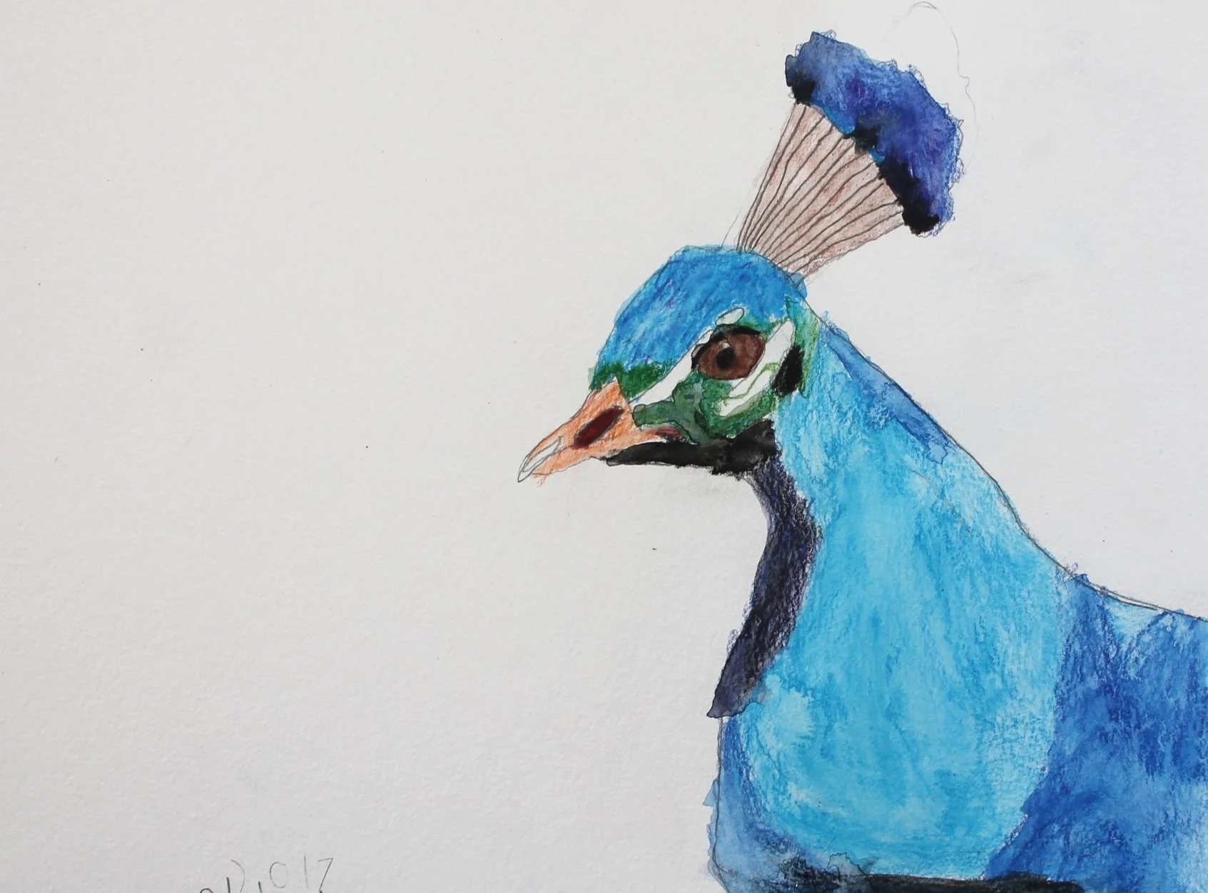 Peacock