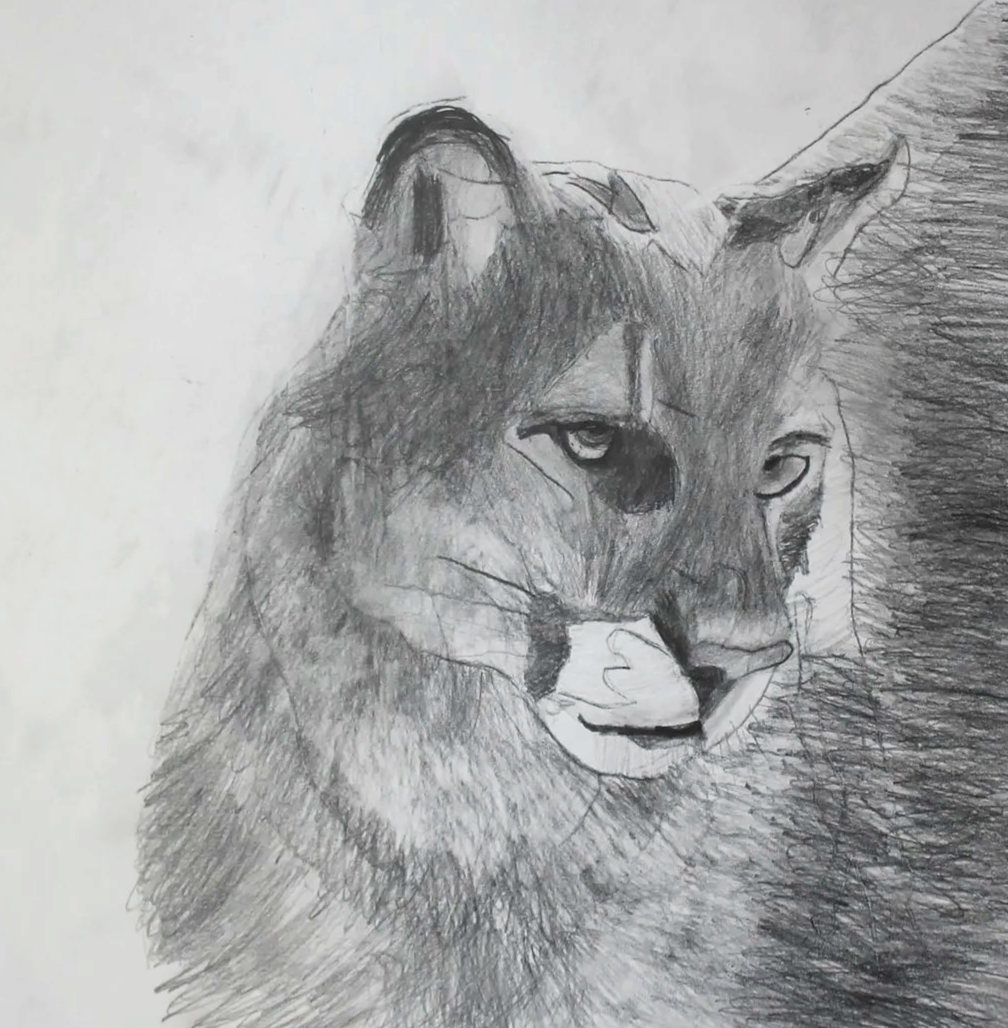 IMG_0222%5B1%5D.png