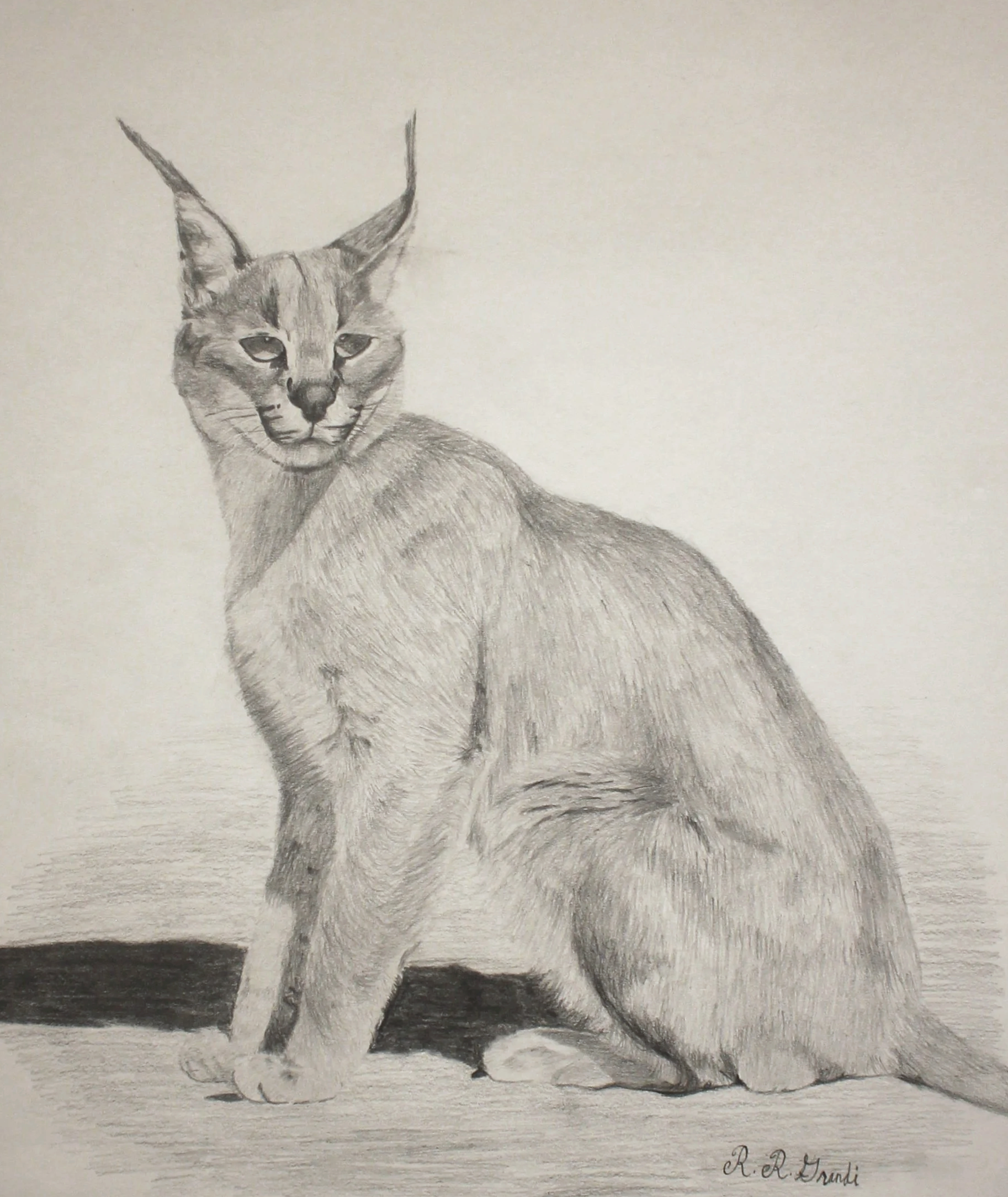 Rebekah, age 13