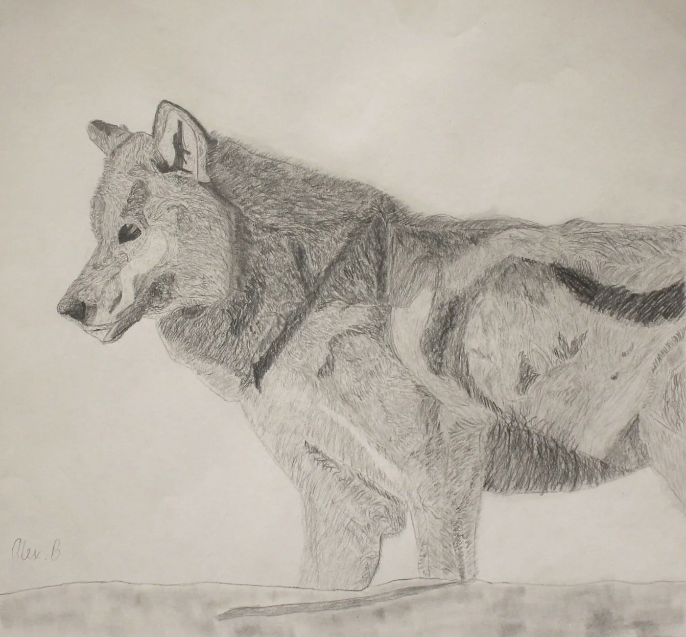 Alex, age 11