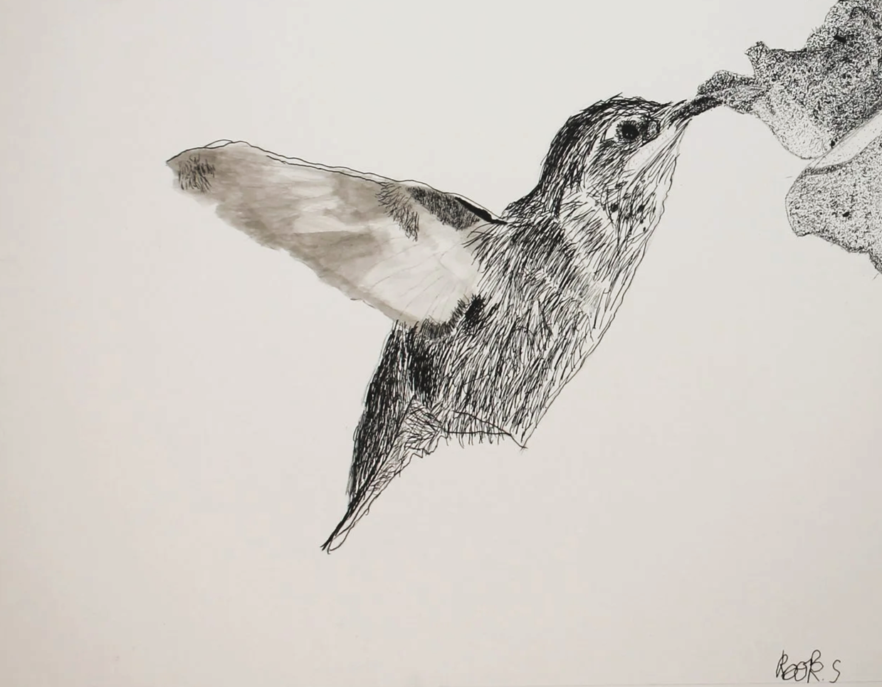 Rook, age 10