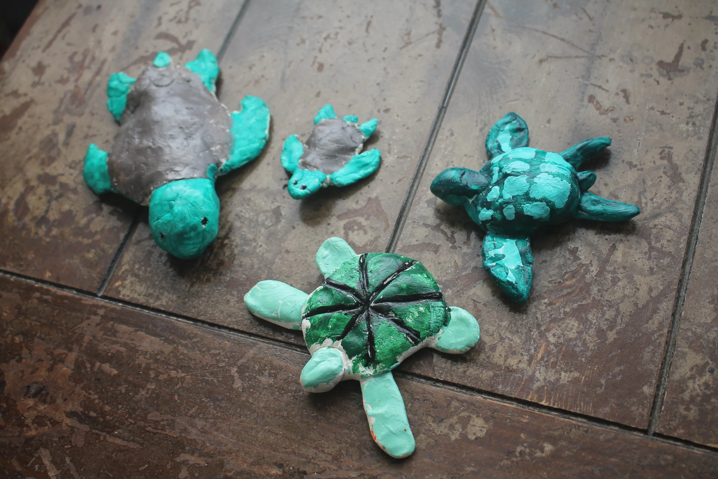  Sea Turtles 
