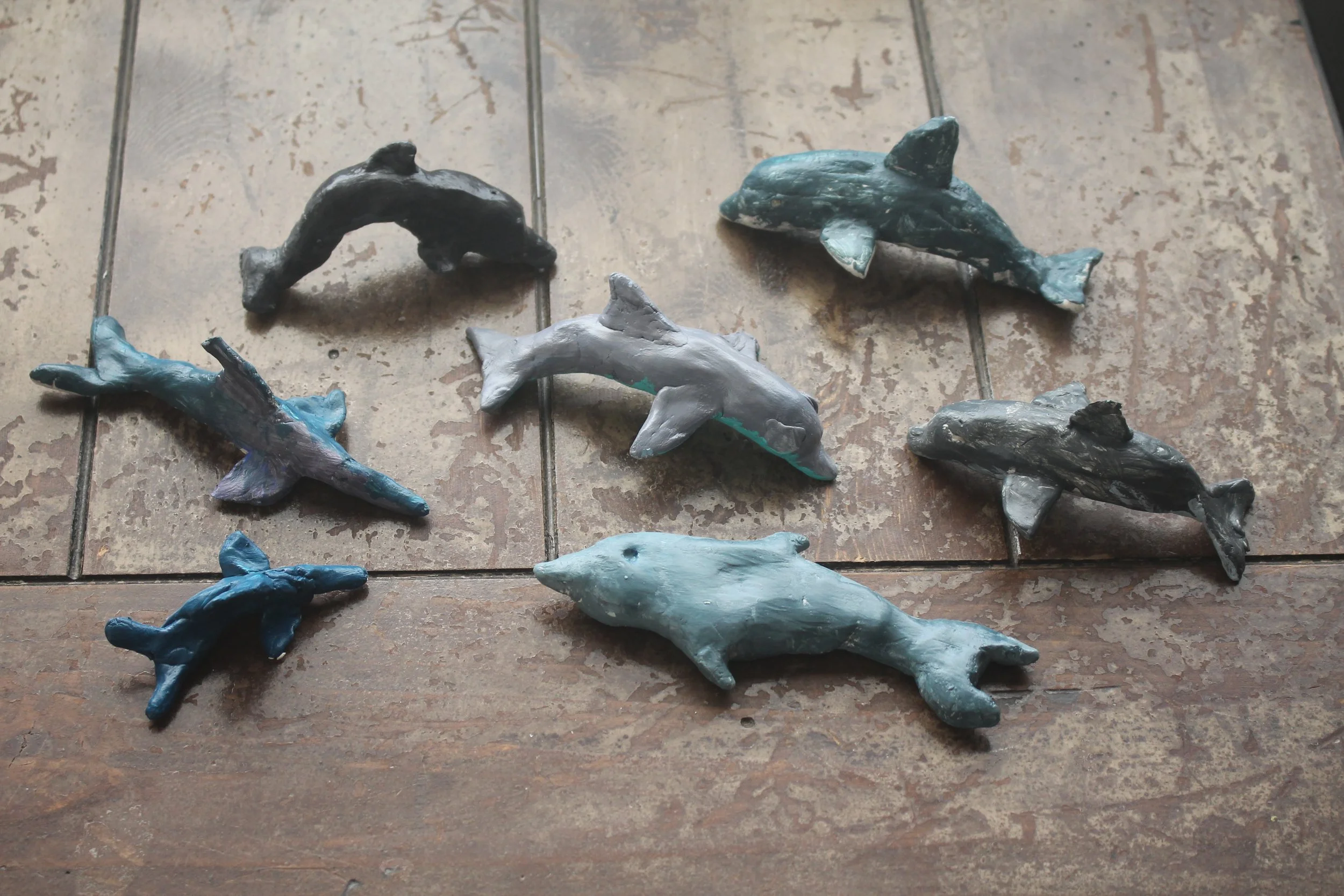  Dolphins 