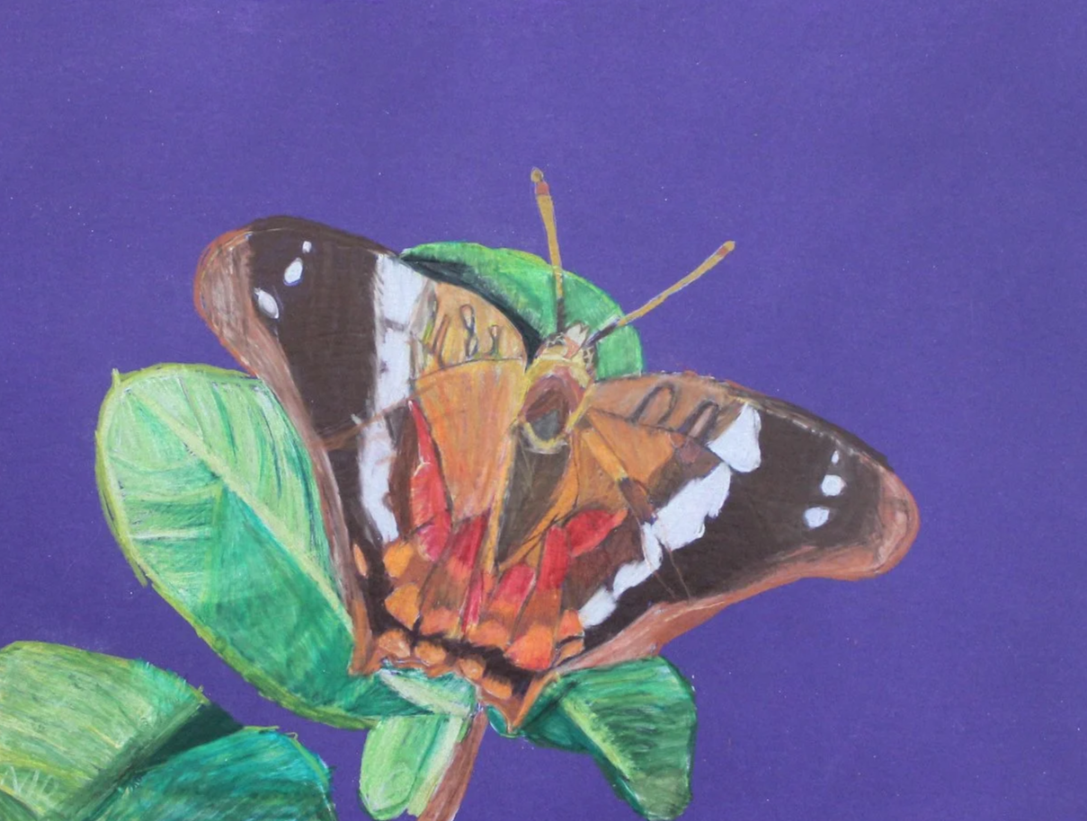 McKinsly, age 9