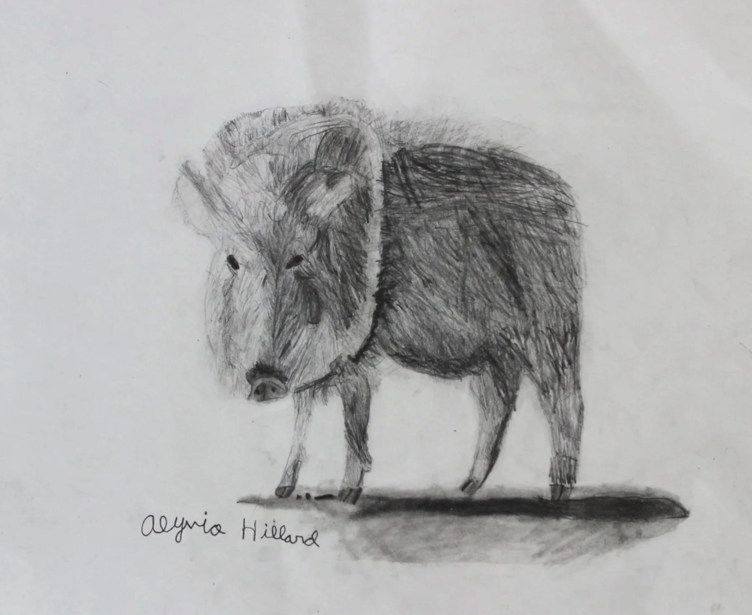 Alyvia, age 9