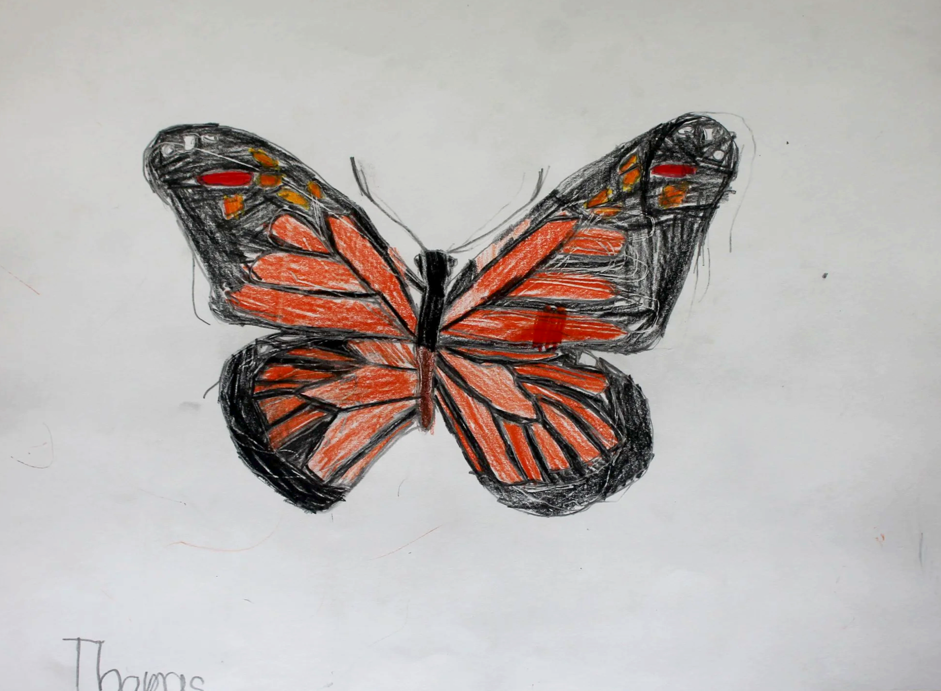 Thomas, age 6