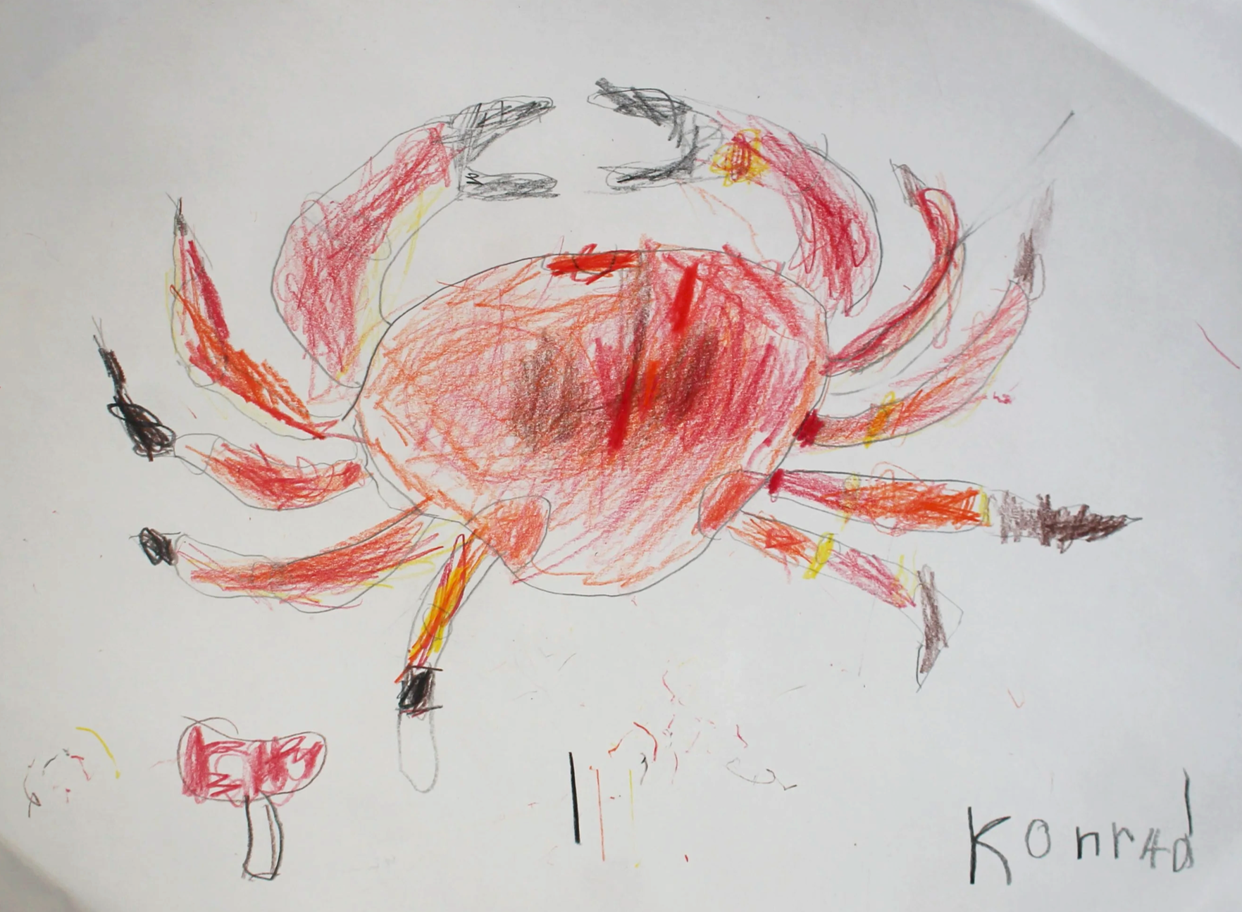 Konrad, age 5