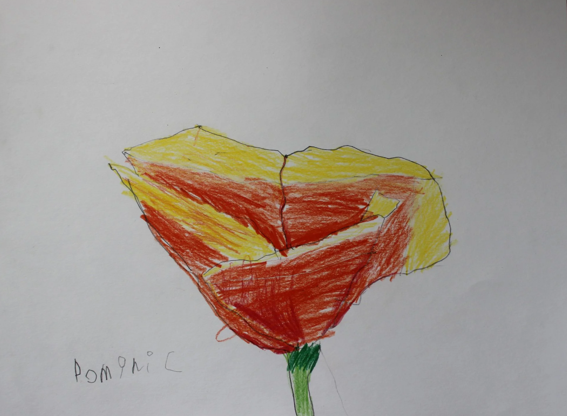 age 6
