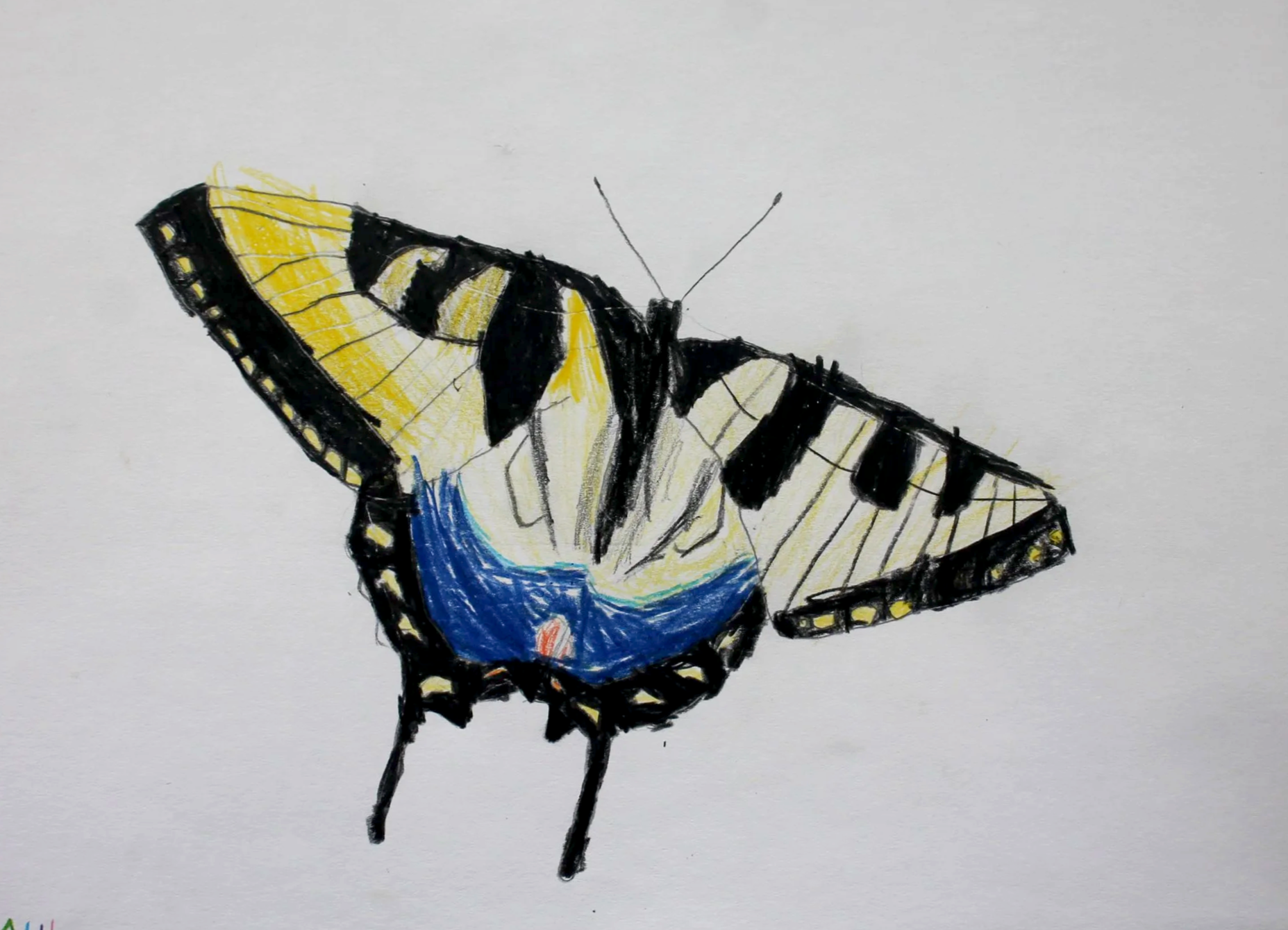 Aila, age 7