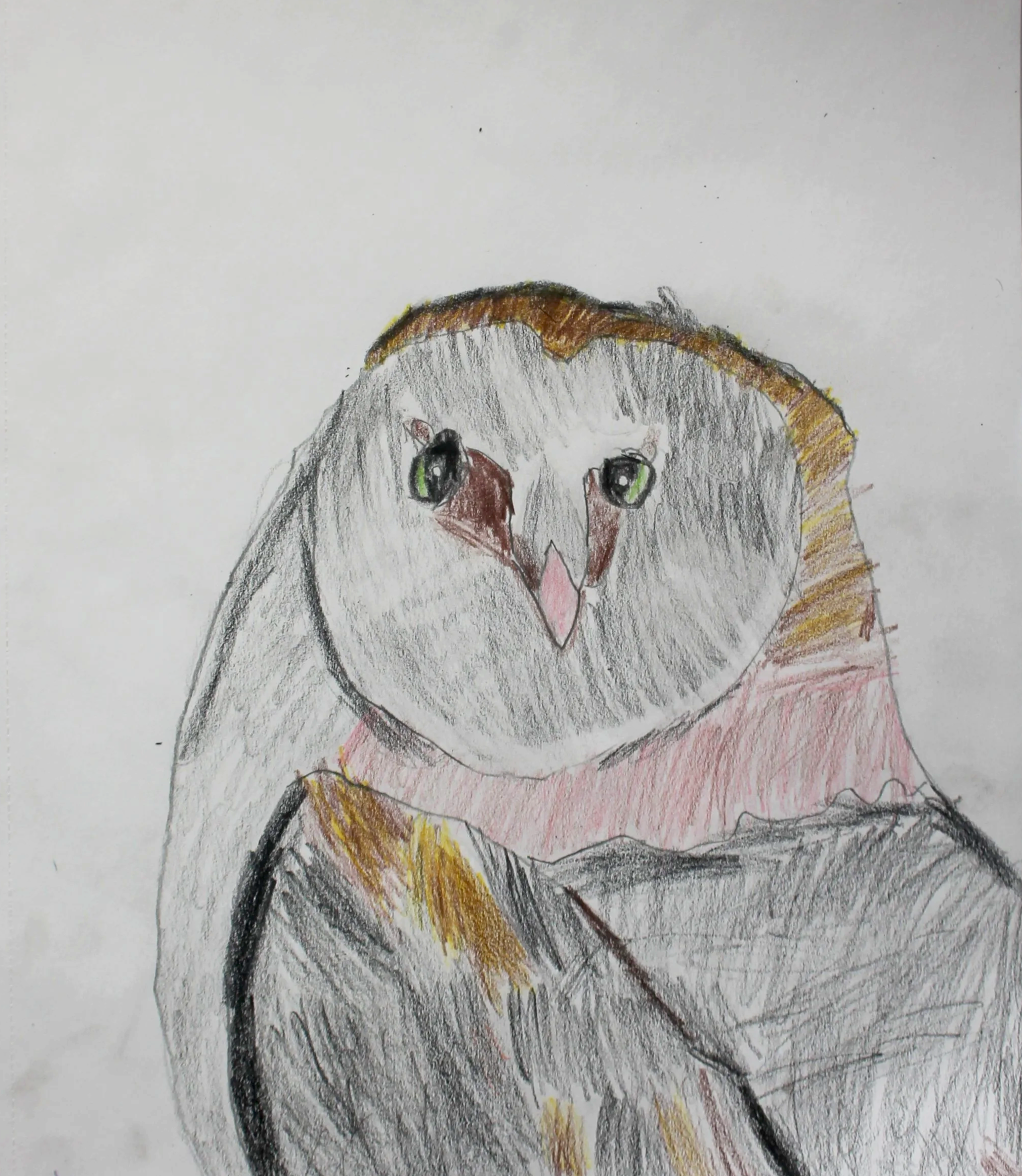 age 6
