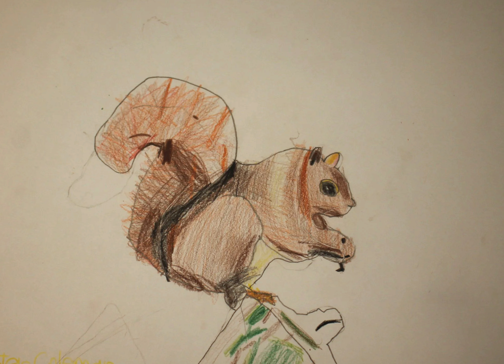 age 8