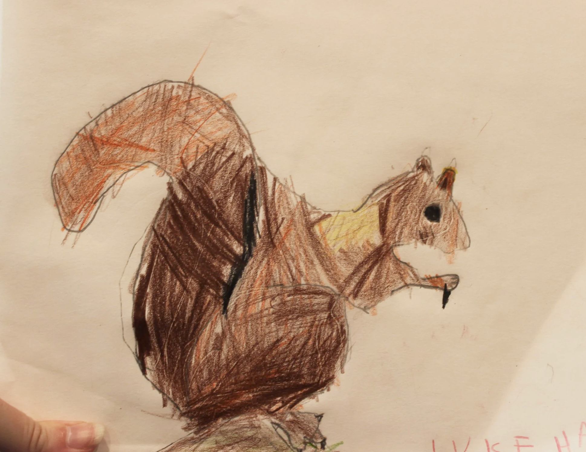 age 8