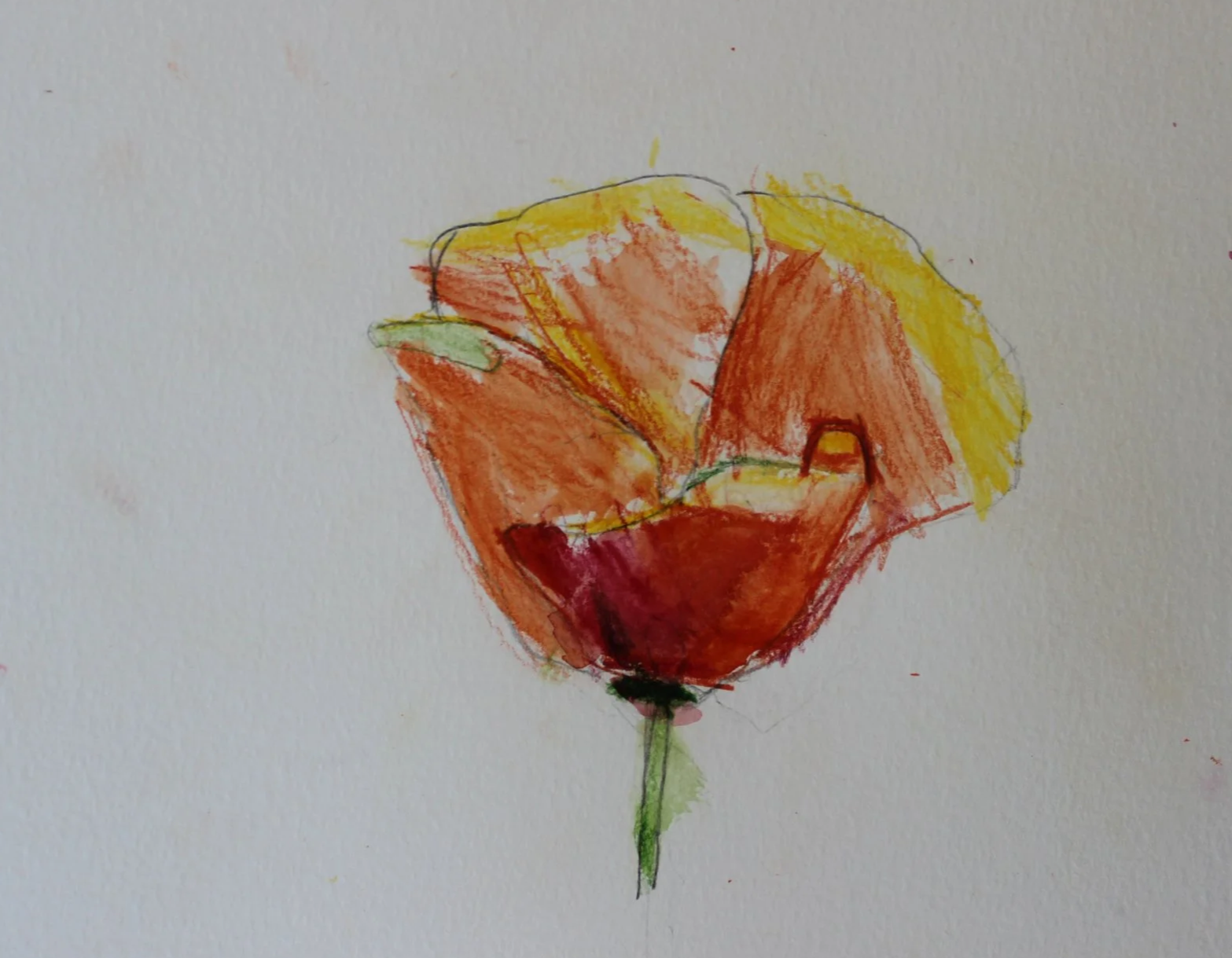 age 6
