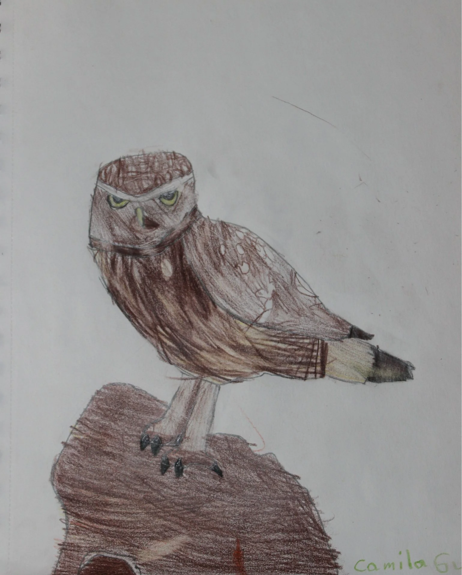 Camila, age 8