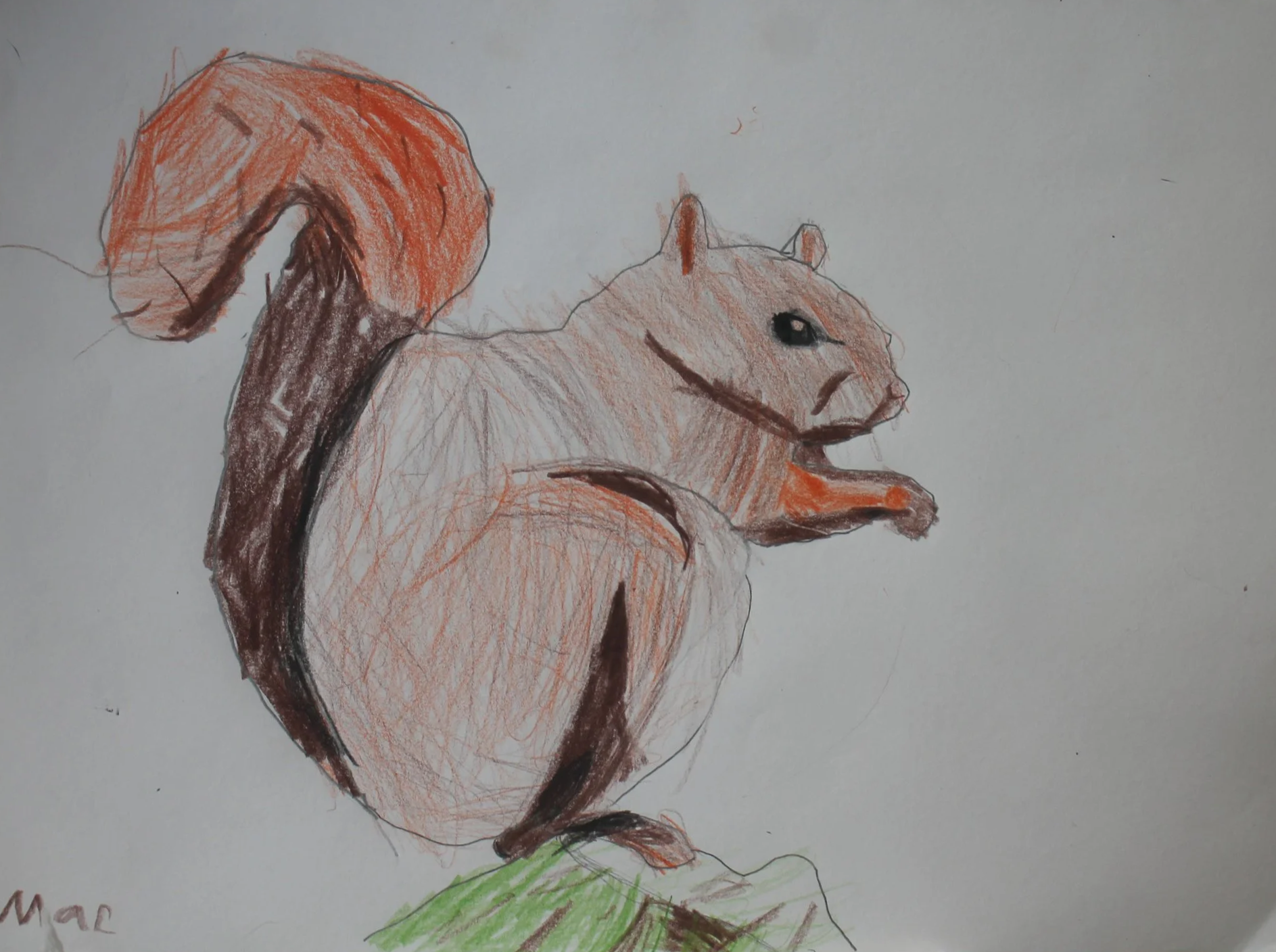 Mac, age 6