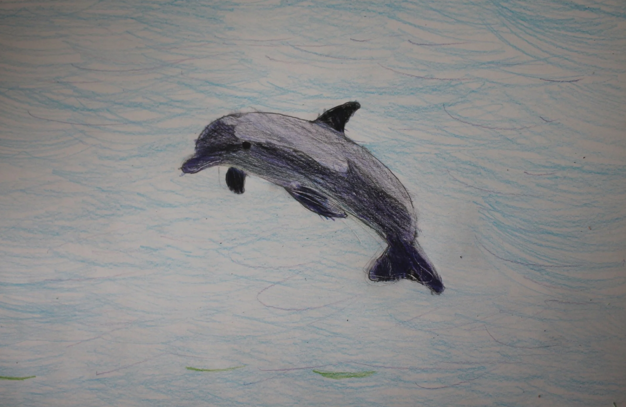 Camila, age 8