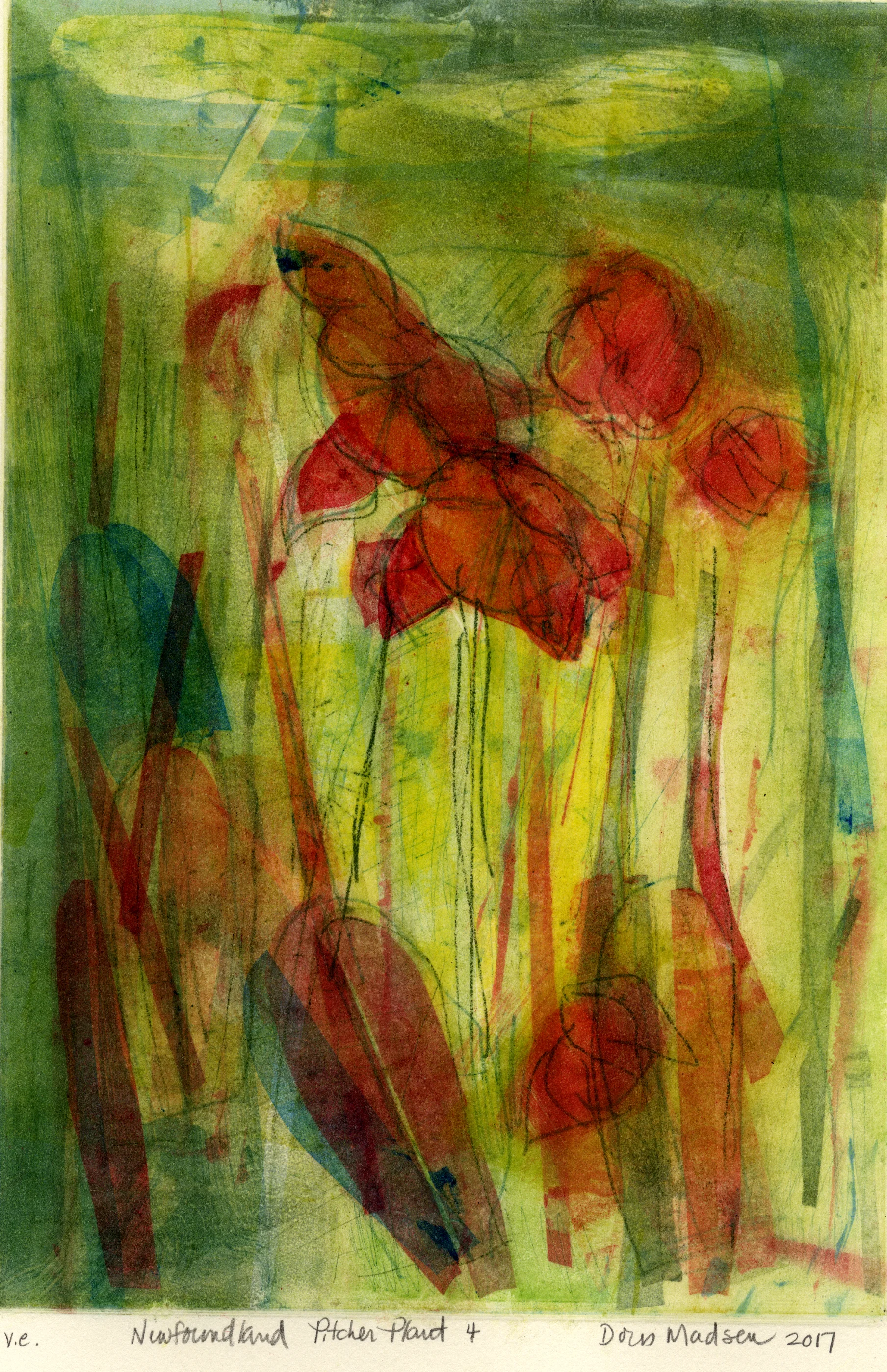Newfoundland Pitcher Plant 4