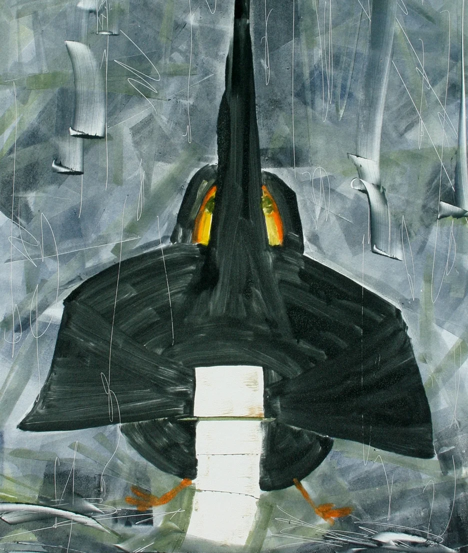 crow1.jpg