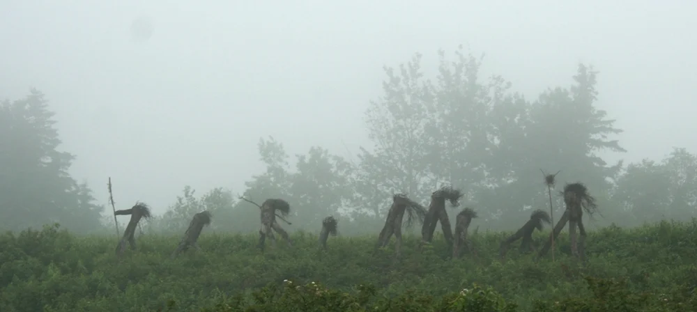 tree fog 018.jpg