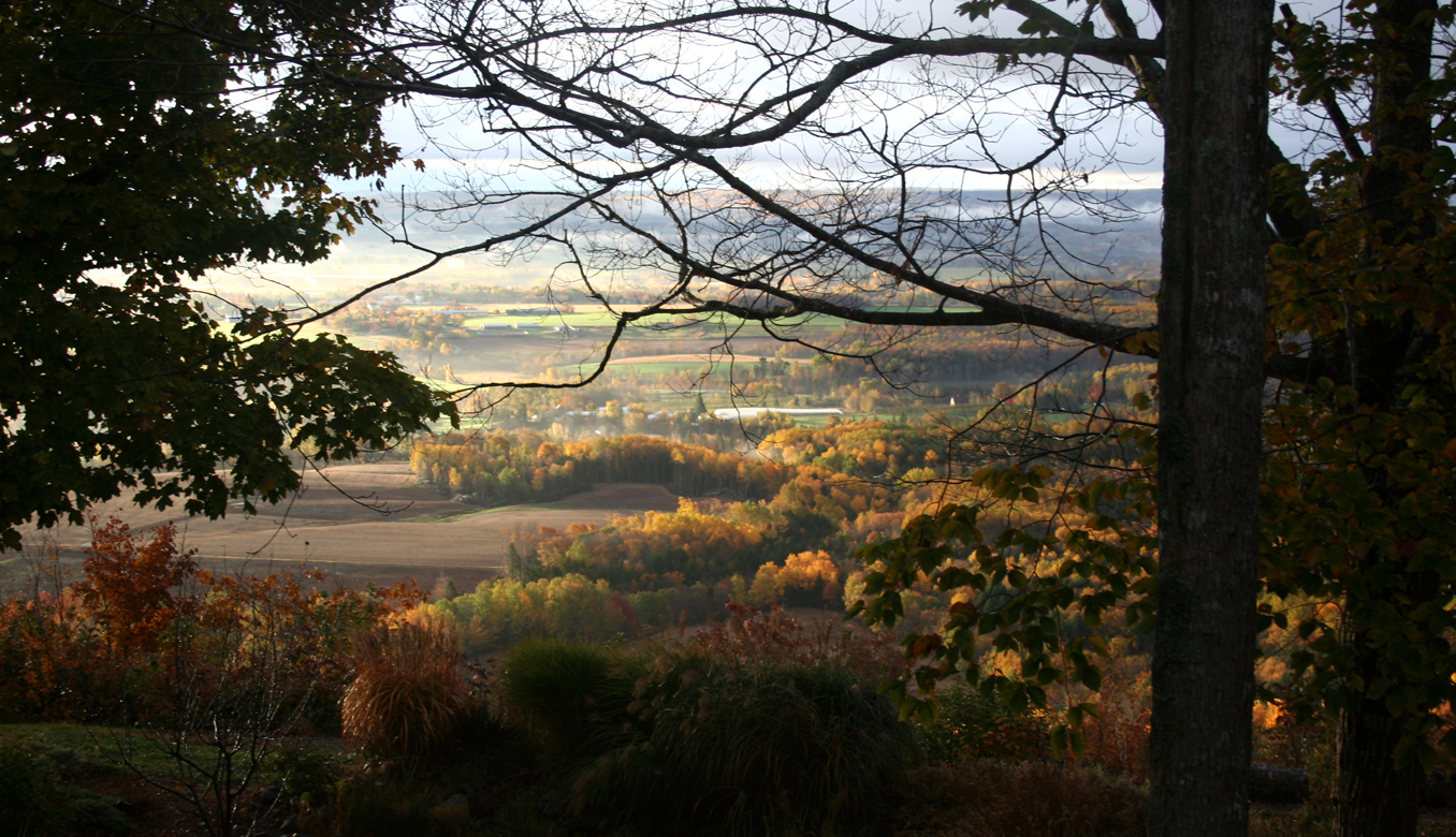 The Last Days of Autumn