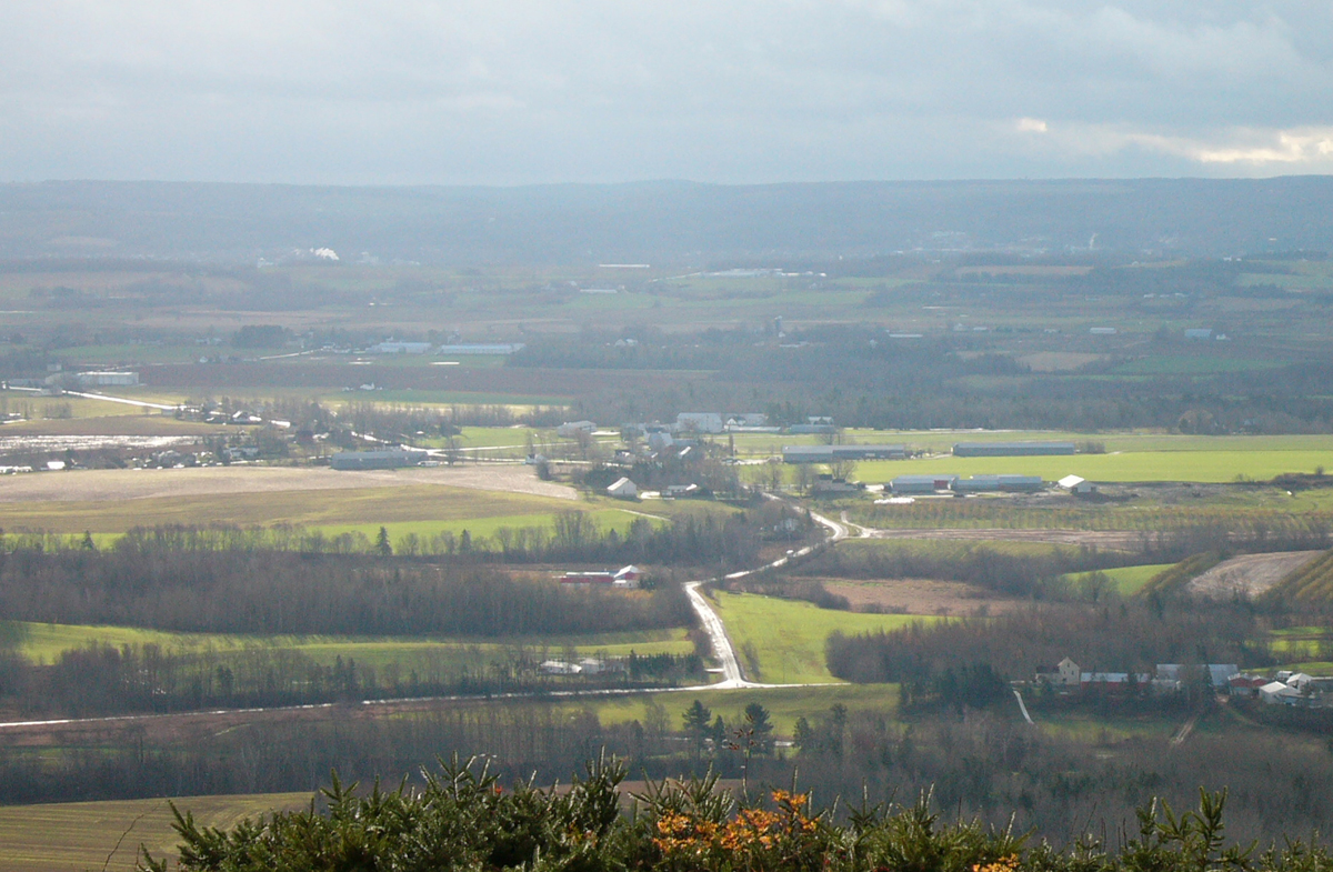 The Early Days of Spring