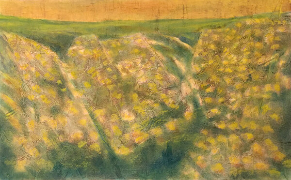 Early Morning Orchard