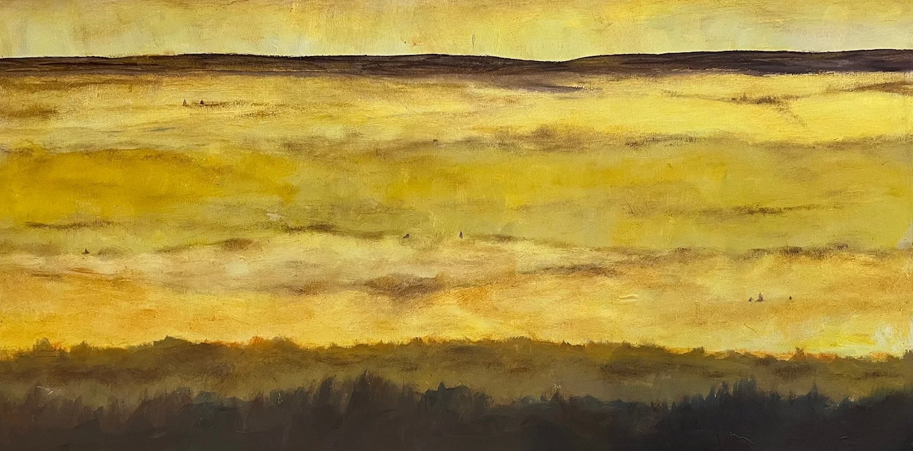 Nine Church Steeples in Valley Morning Fog