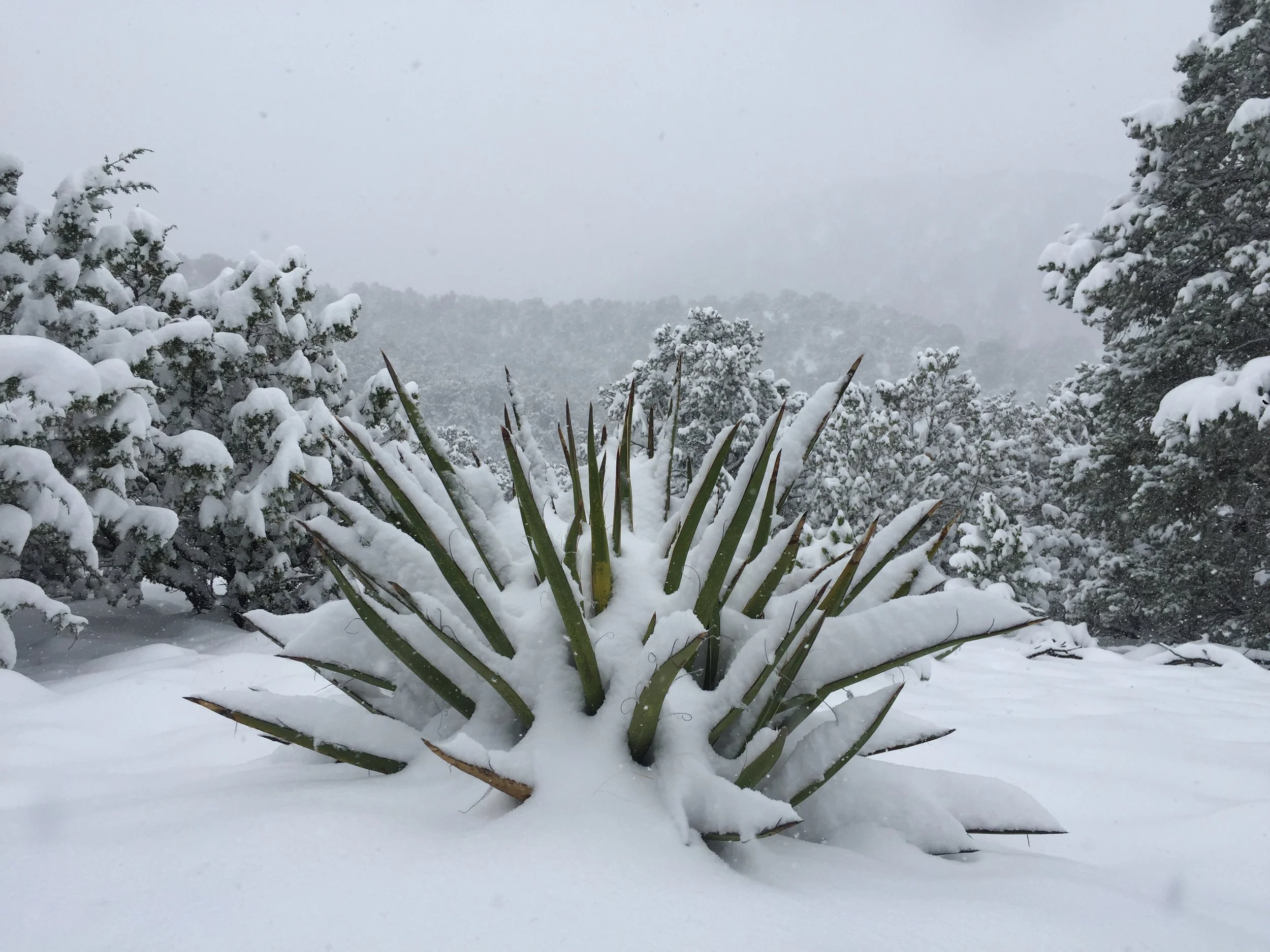 How to Spend Winter in Santa Fe: Snow, Spas, and Chocolate