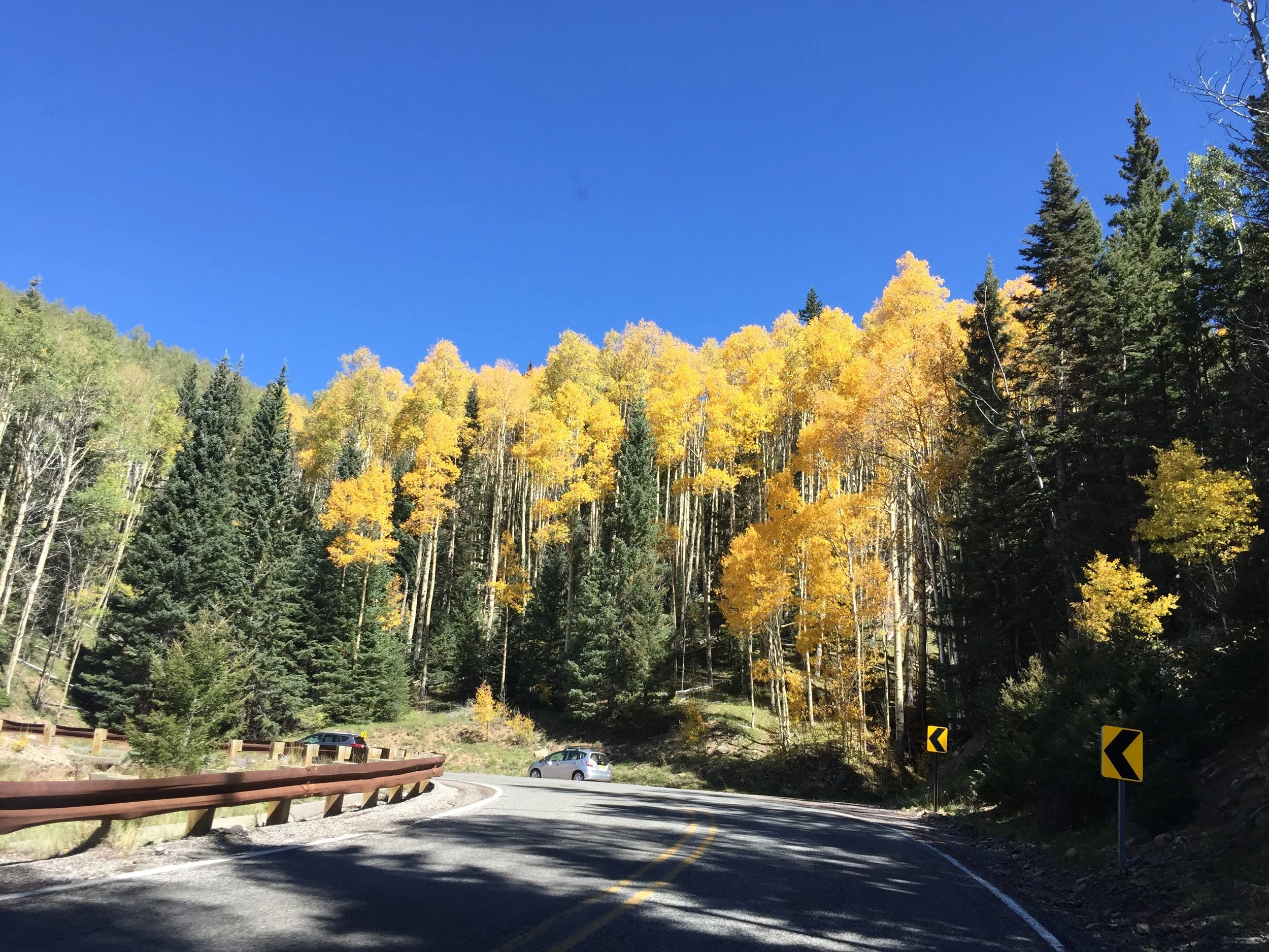 Fall Flavors: Where to Find Santa Fe's Best Seasonal Food