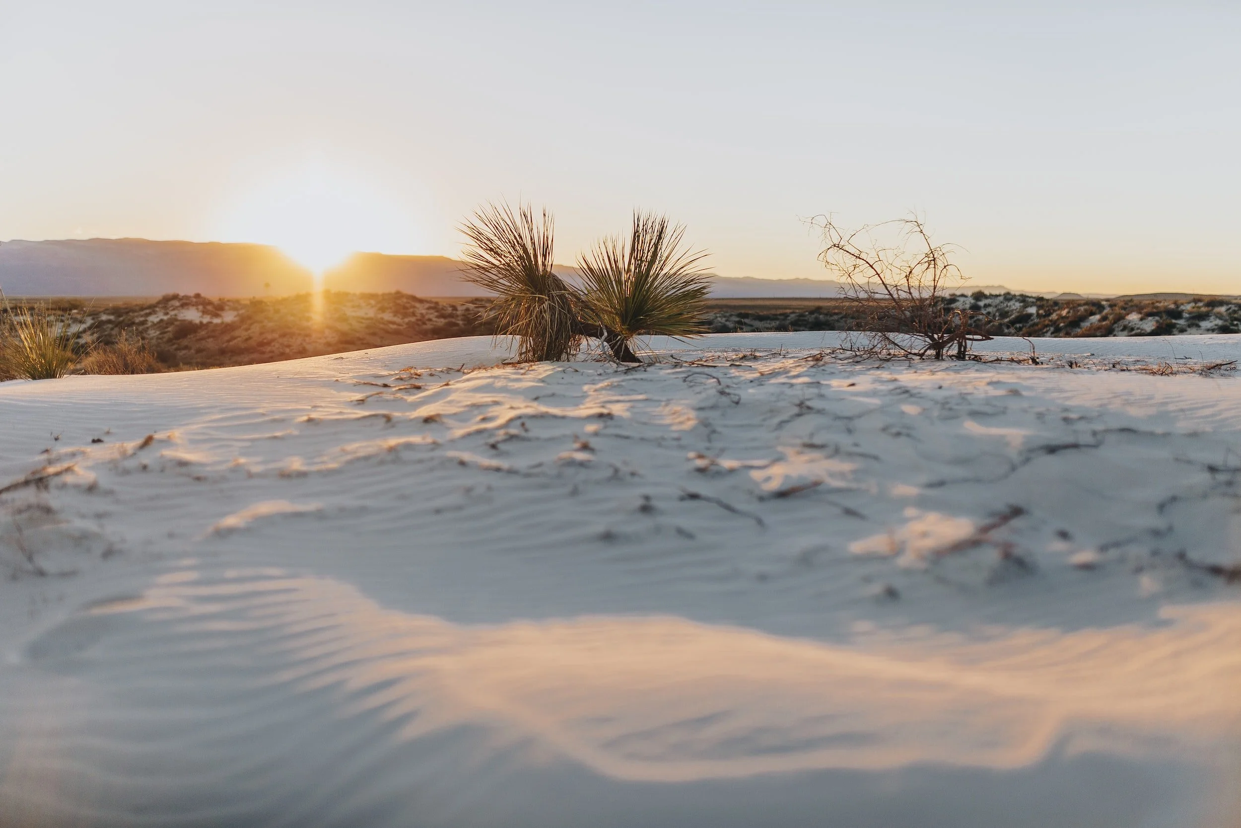 Must-See National Parks in New Mexico