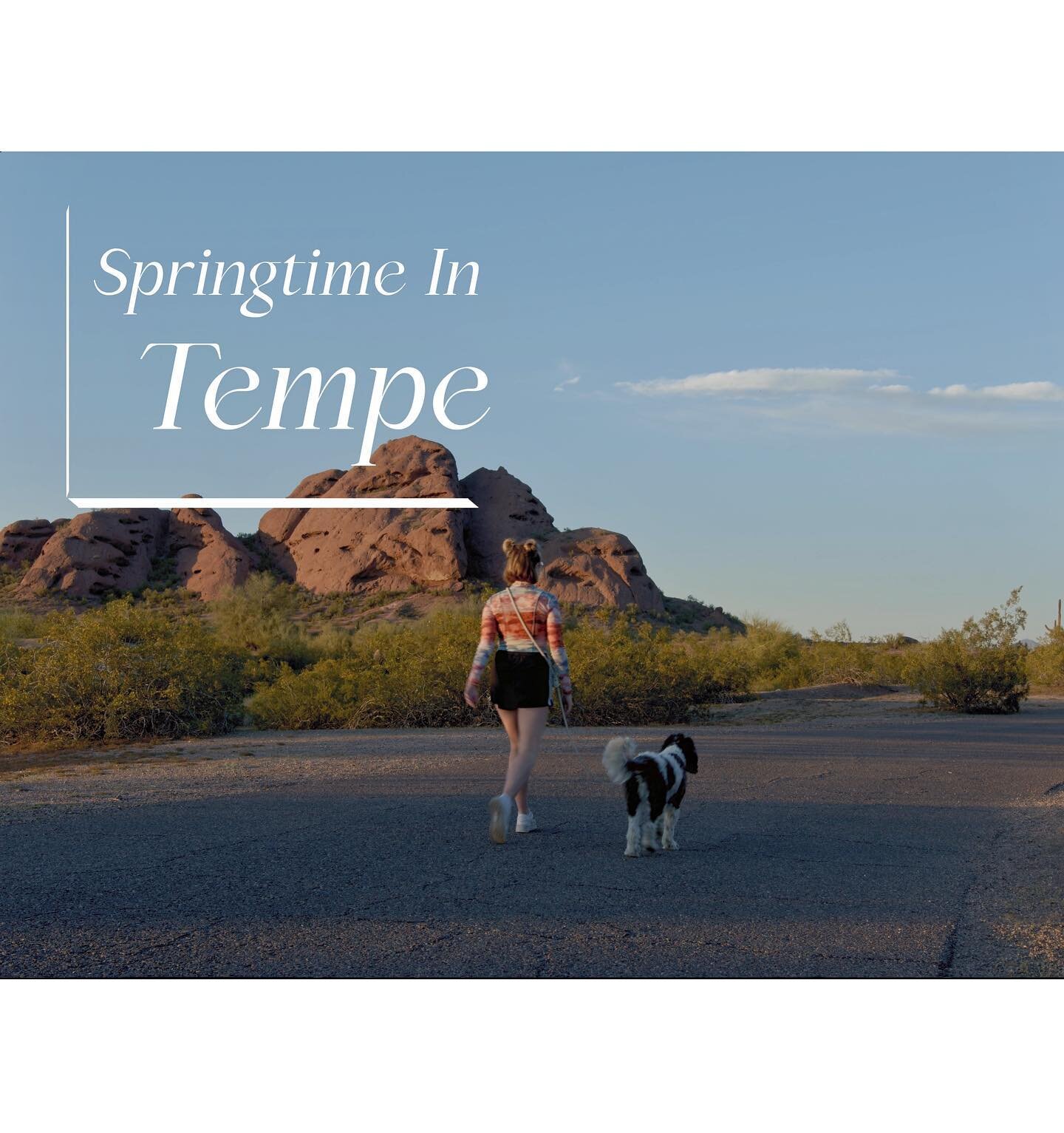 Billie and I had the pleasure of taking a leisurely stroll through Papago park with our buddy @zane_berry_dp on a lovely evening this spring. Some of the footage he snagged along the way is in his new short film, Springtime in Tempe. 

Head over to h