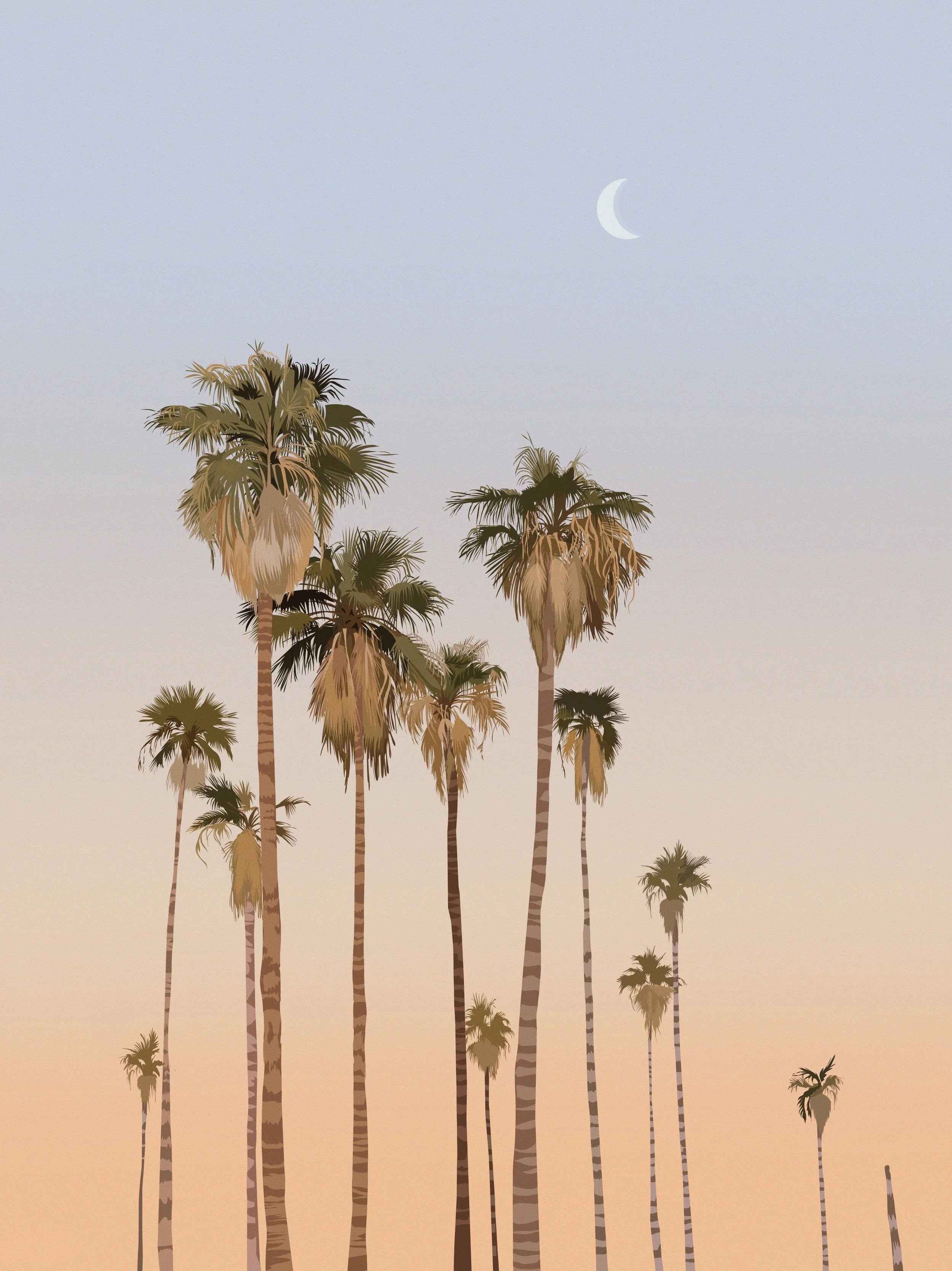 palm-artwork.JPG