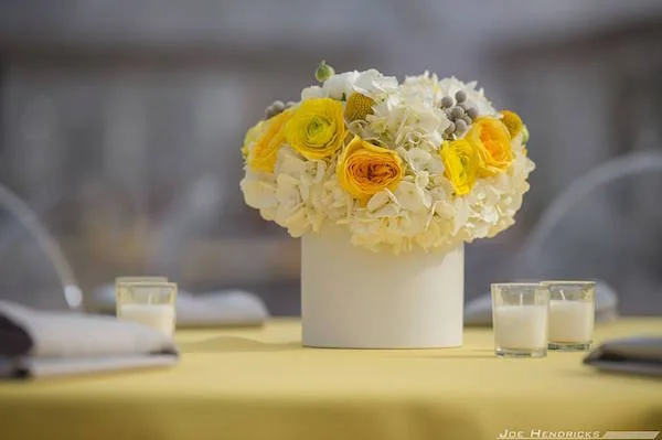 Laurie D'Anne Events I Arrington Vineyards