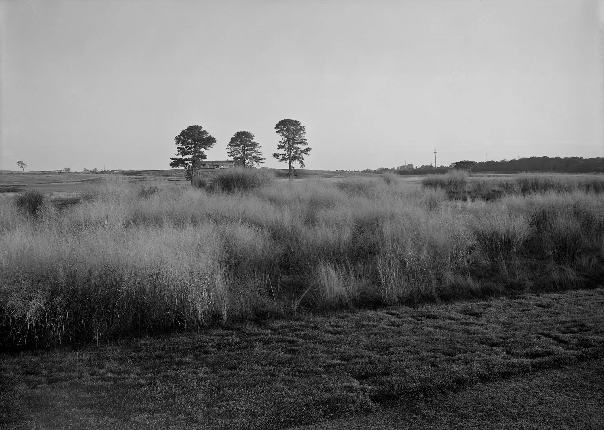 shgc 329221 reduced.jpg