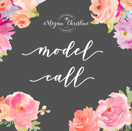 model-call-denver-photographer-newborn-maternity-senior-photos-dance.png