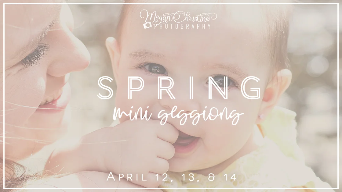 2019-spring-mini-sessions-denver-blog.jpg