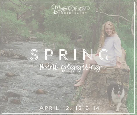 2019-spring-mini-sessions-denver.jpg