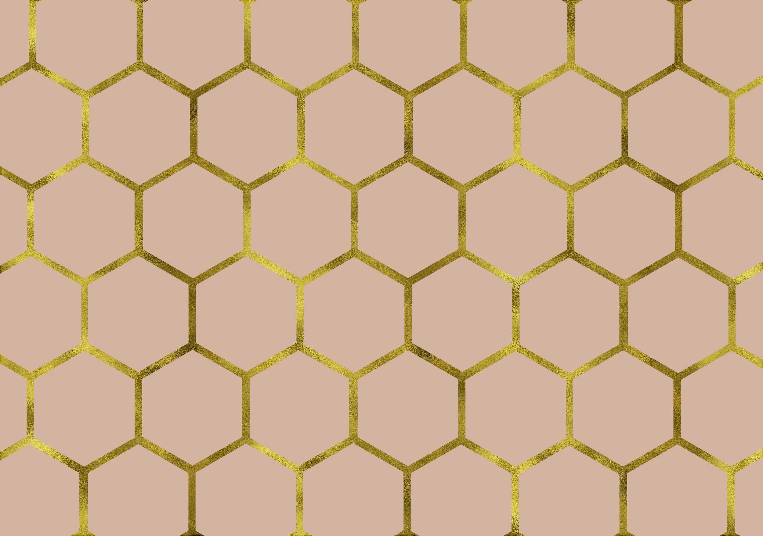 Honeyline%2BPink-01.jpg