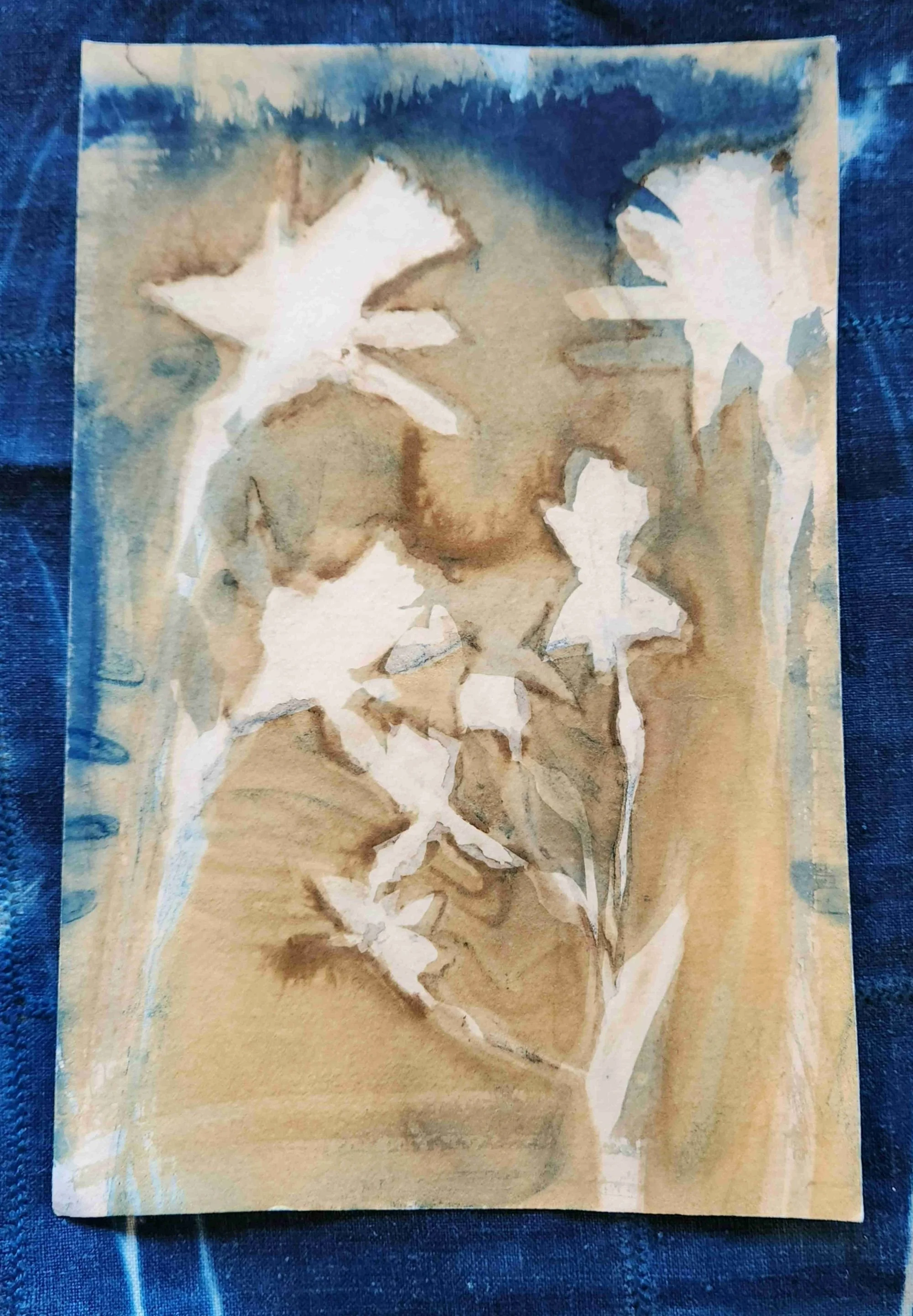 cyanotype no.8.jpg